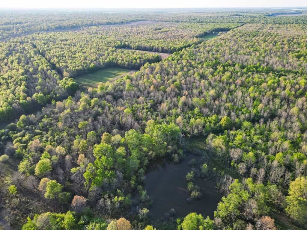 Legacy Waterfowl Hunting in the Mississippi Delta