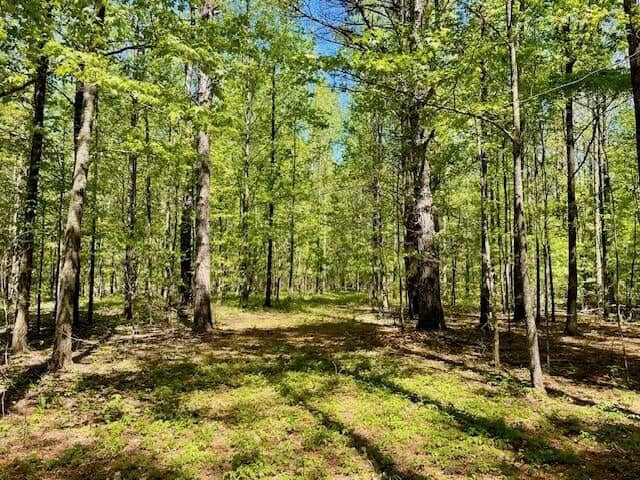 69 Acres For Sale Starkville MS