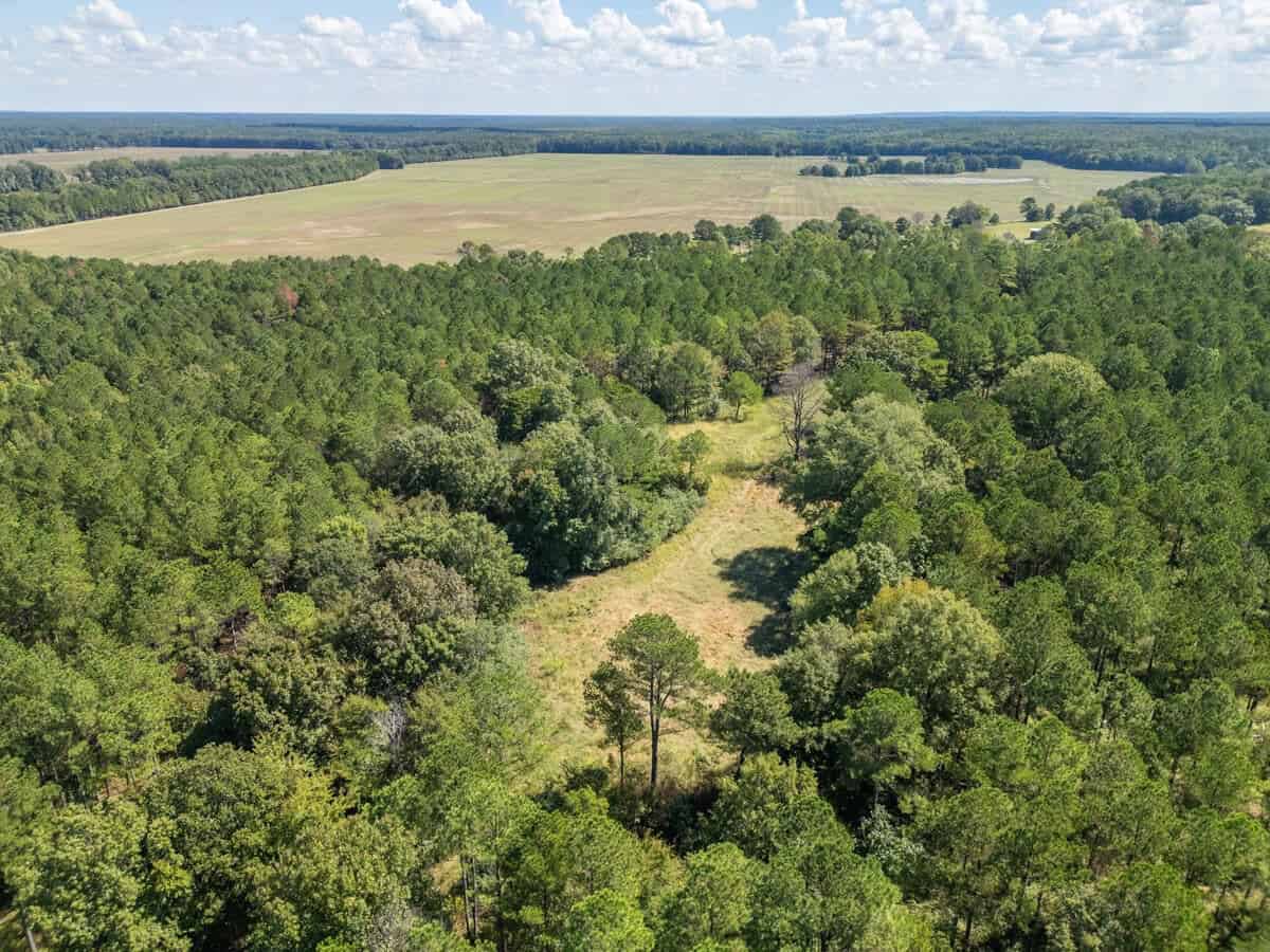40 Acres For Sale Starkville MS