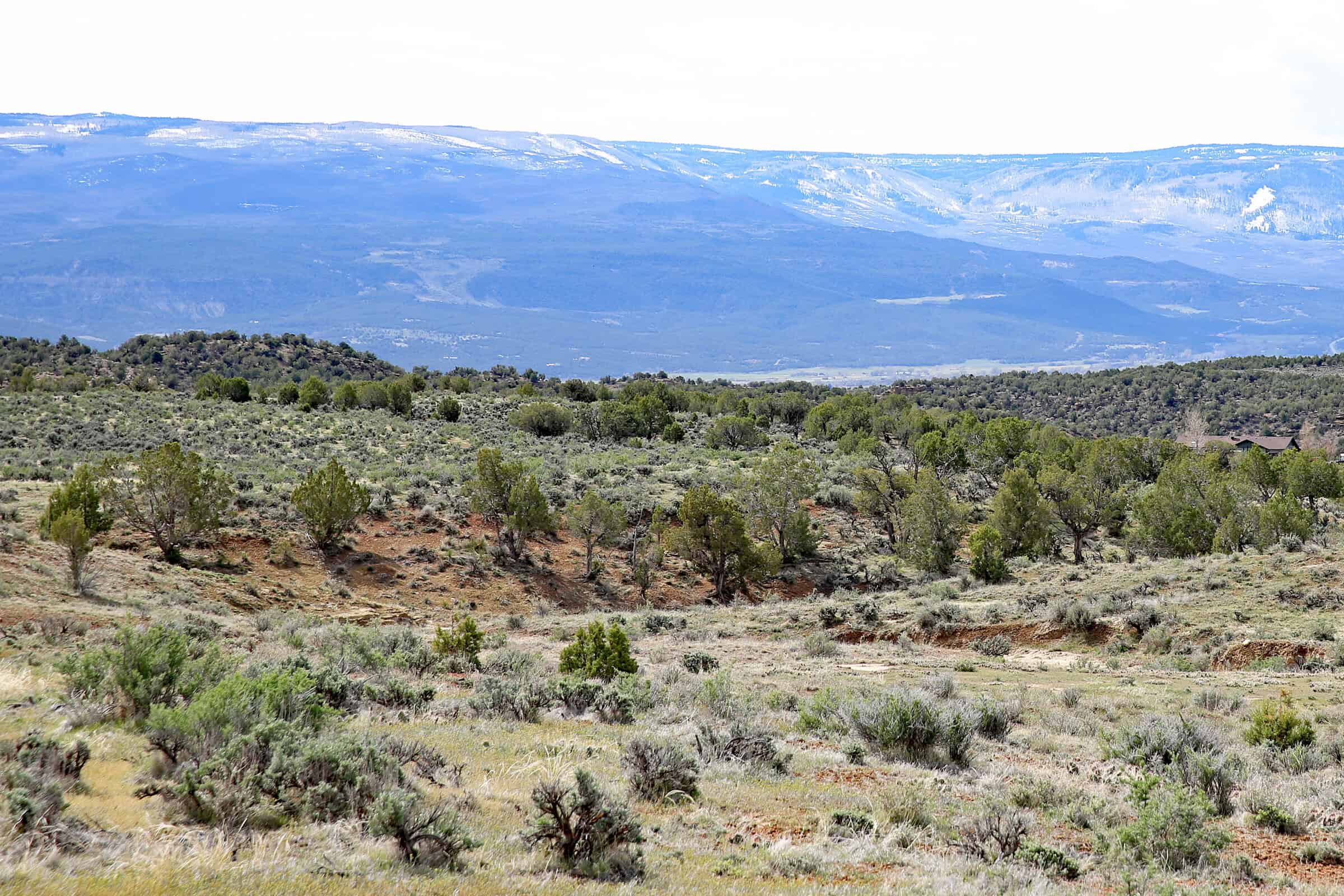 Vacant Hunting Land Bordering Public Land, BLM Access on Western Slope Colorado