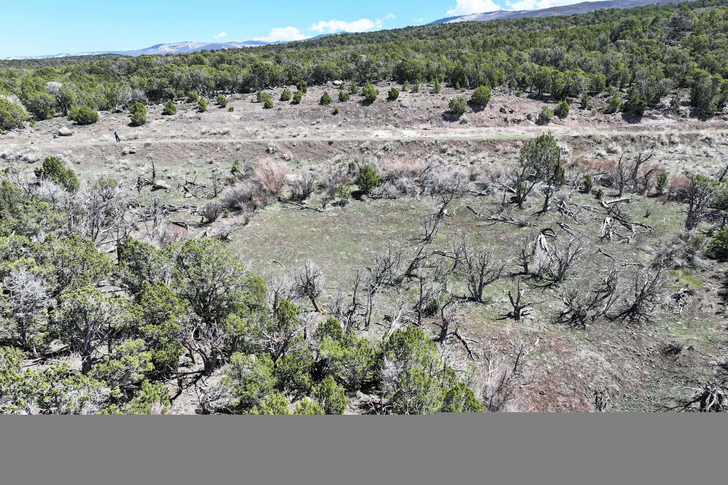 Colorado Mountain Vacant Land in GMU 421 Bordering BLM in Mesa County