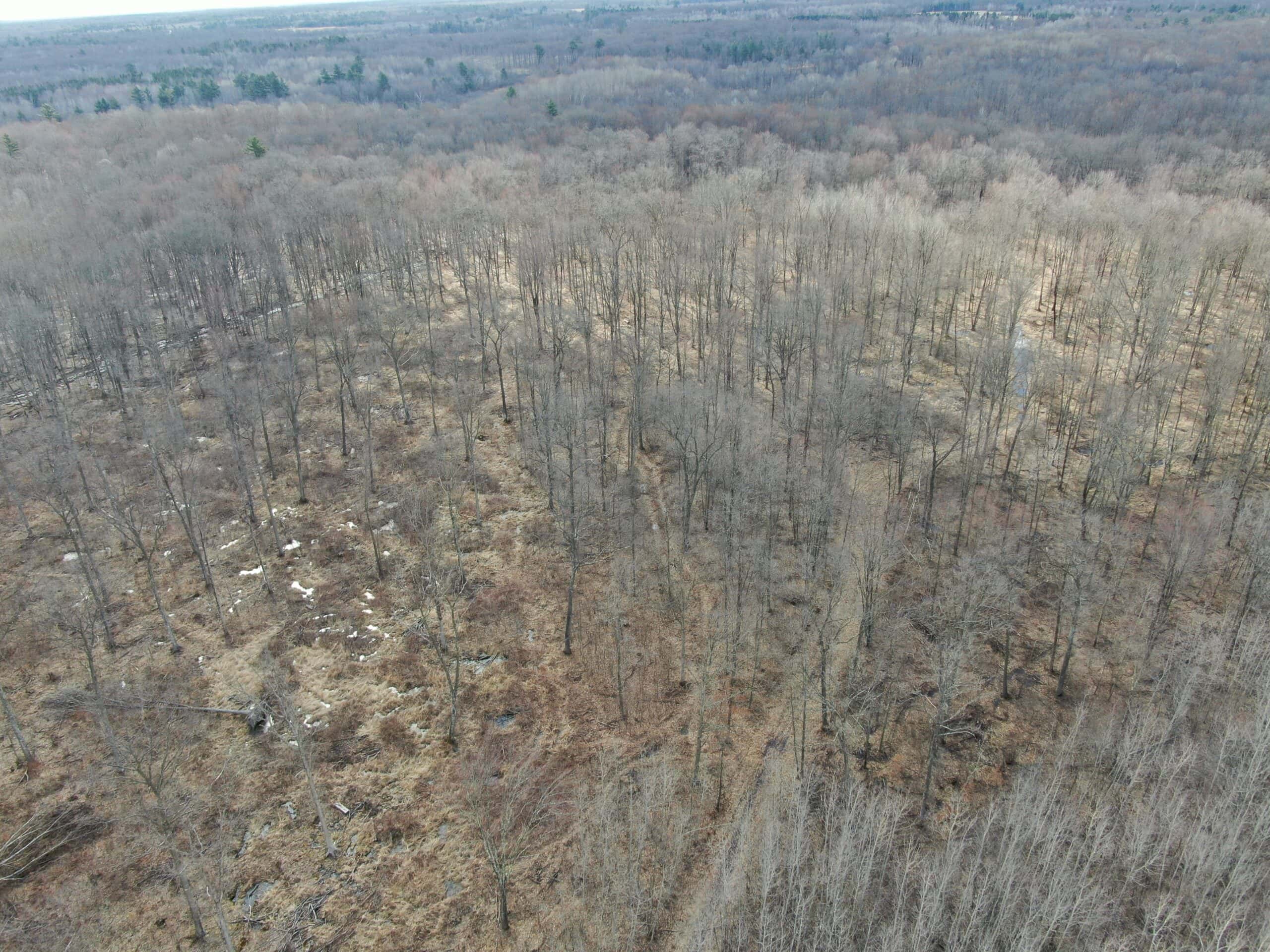 75-acre parcel in the heart of Clark County Wisconsin