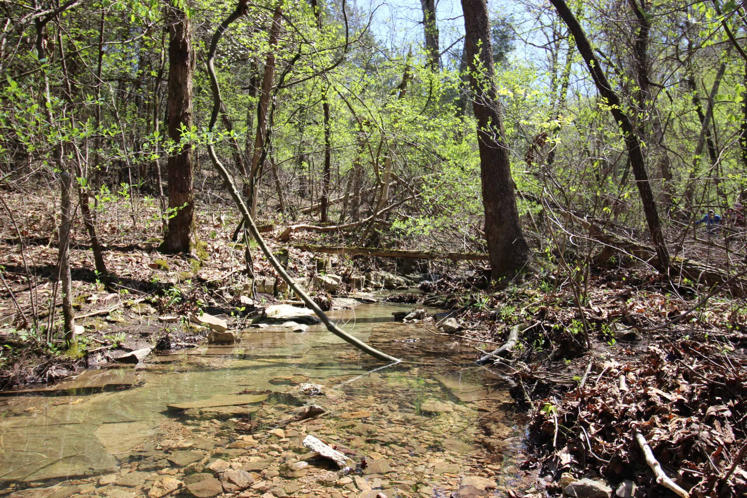 Home With Acreage On The White River In Baxter County, Arkansas