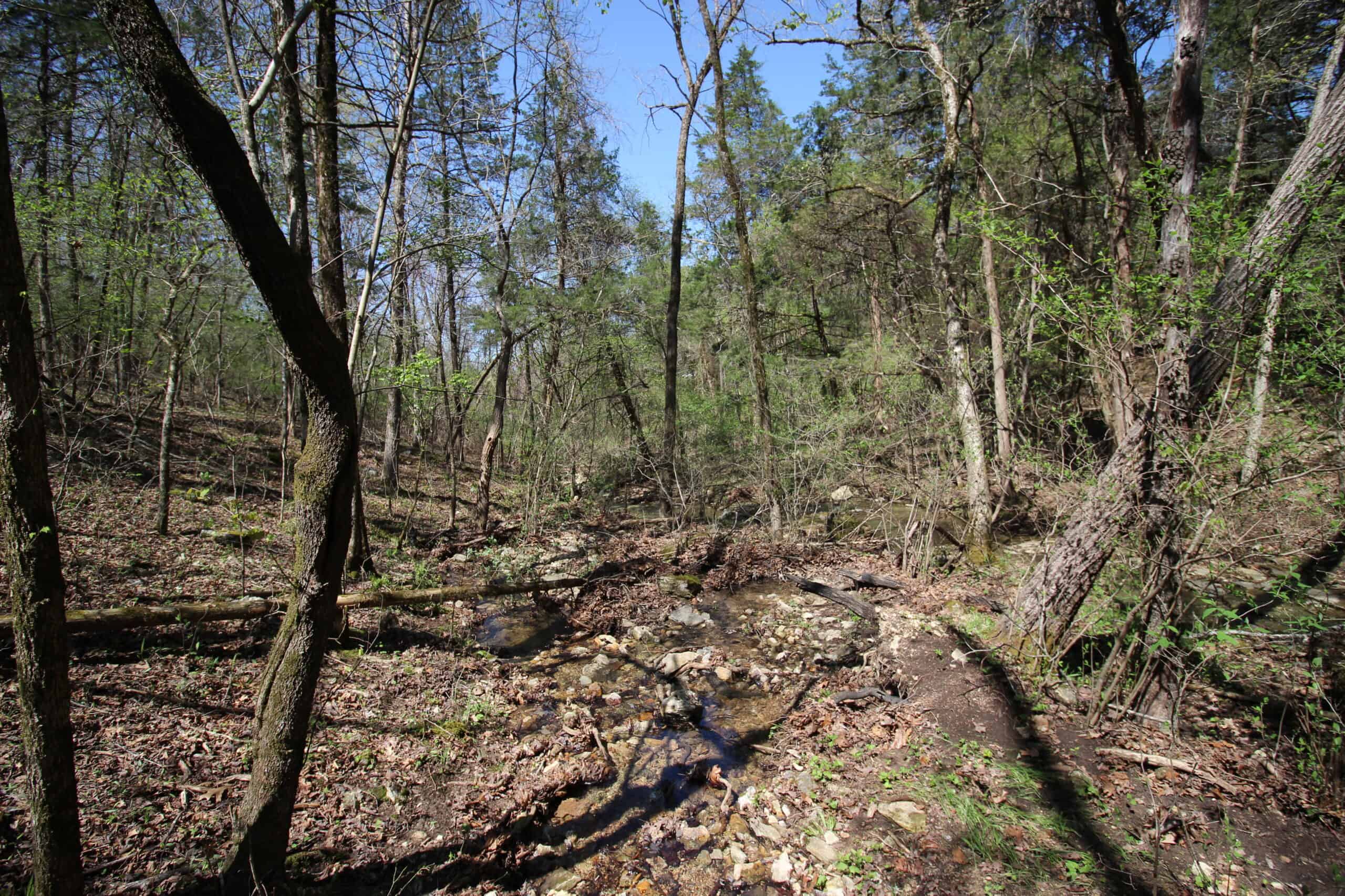 Home With Acreage On The White River In Baxter County, Arkansas
