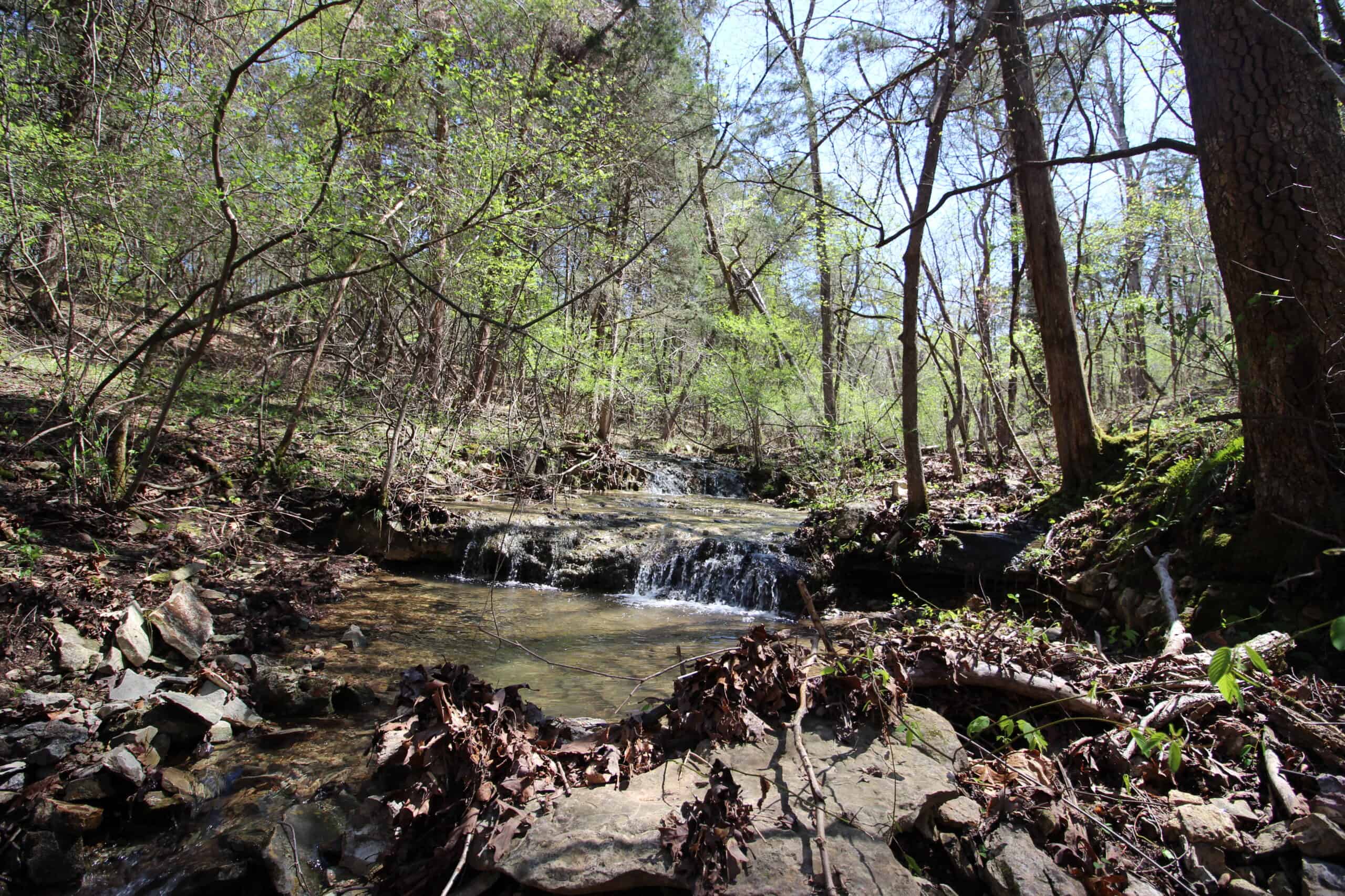 Home With Acreage On The White River In Baxter County, Arkansas