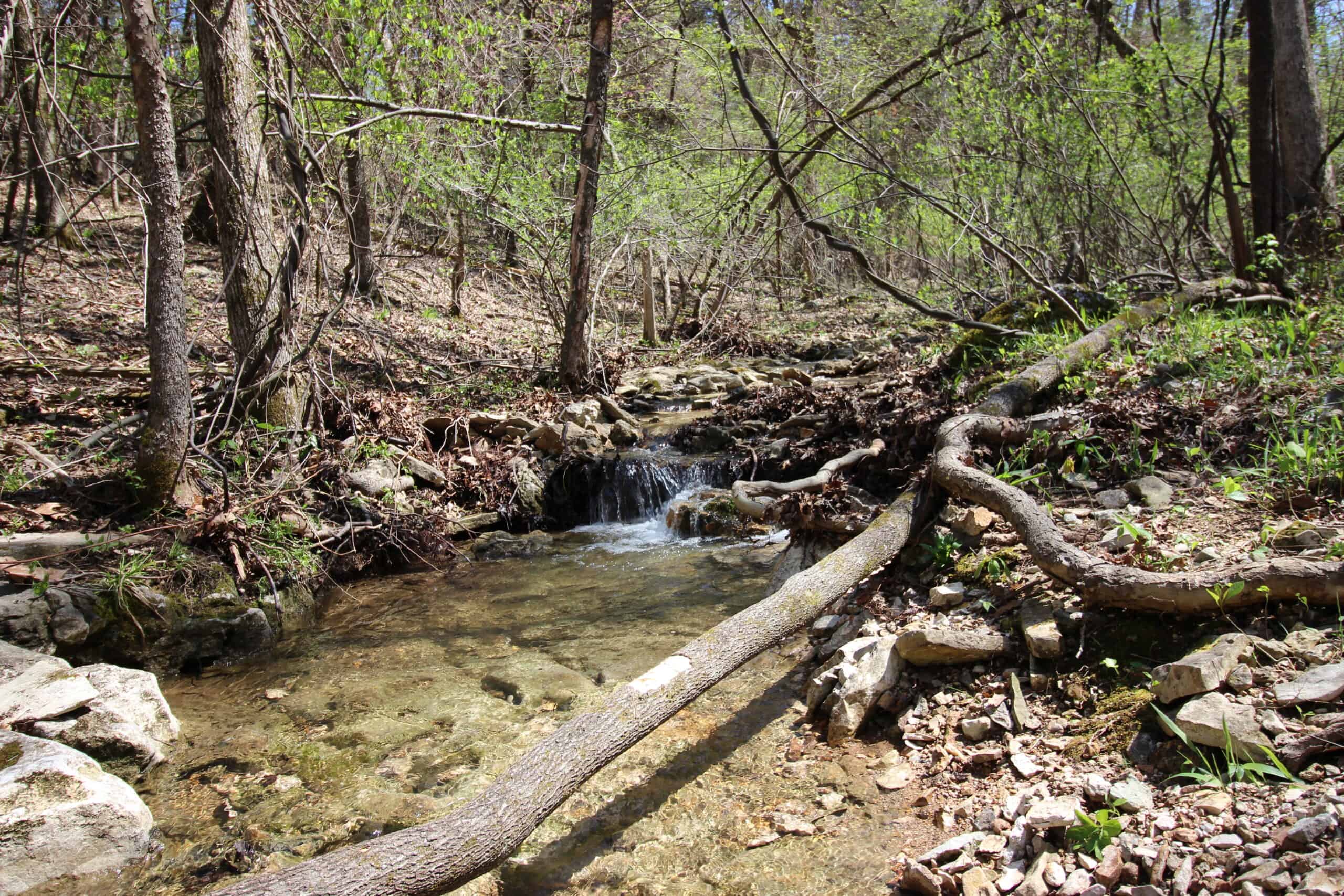 Home With Acreage On The White River In Baxter County, Arkansas