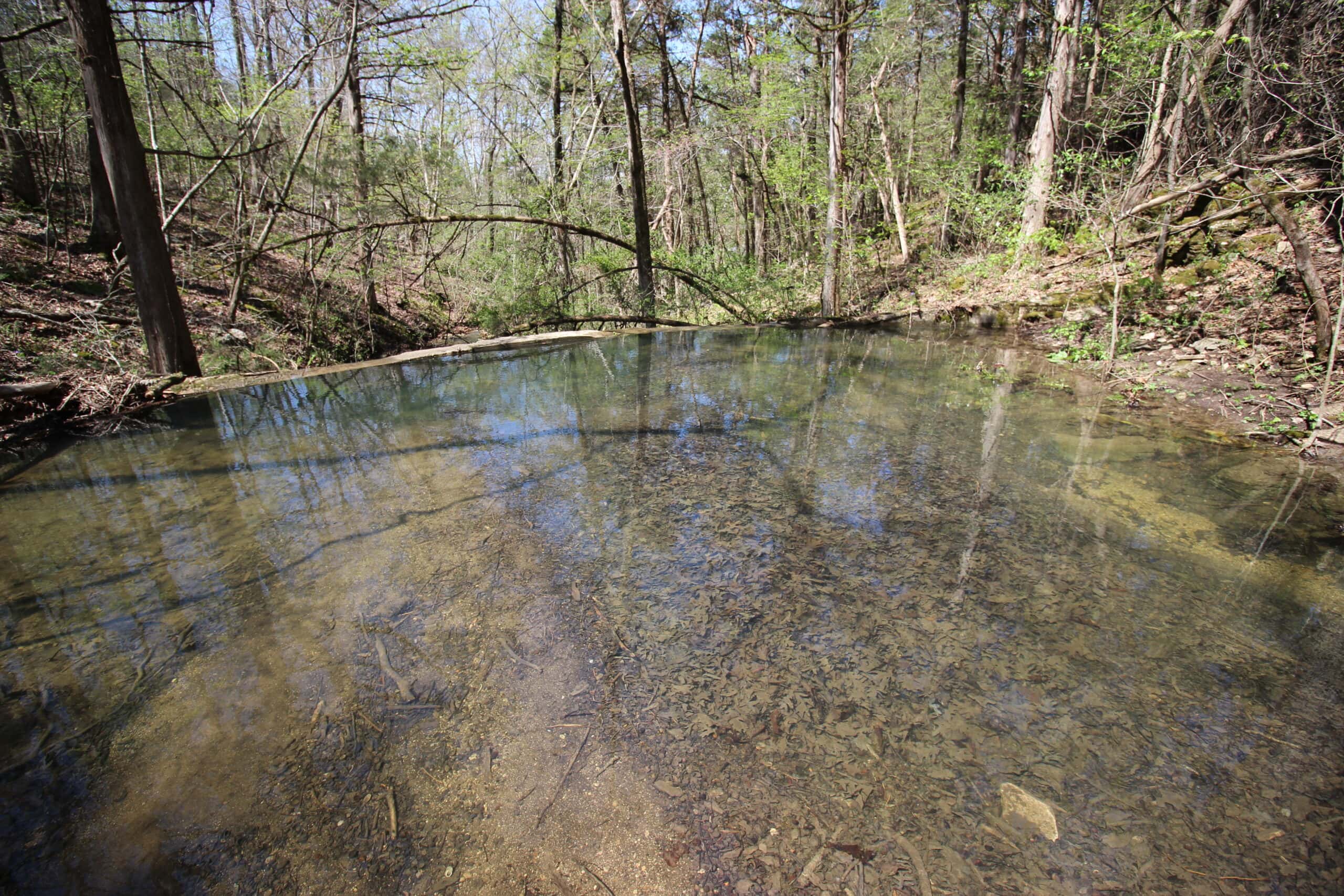 Home With Acreage On The White River In Baxter County, Arkansas