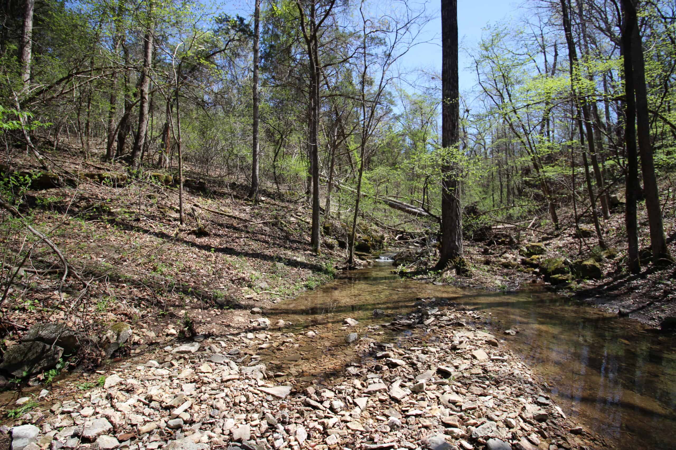 Home With Acreage On The White River In Baxter County, Arkansas