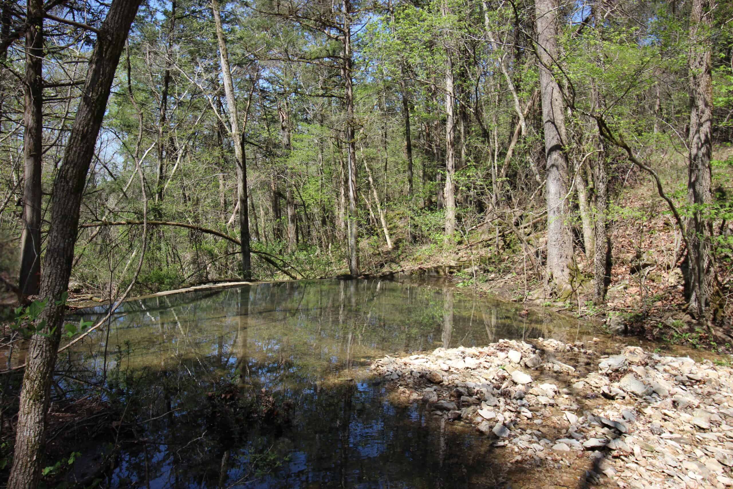 Home With Acreage On The White River In Baxter County, Arkansas