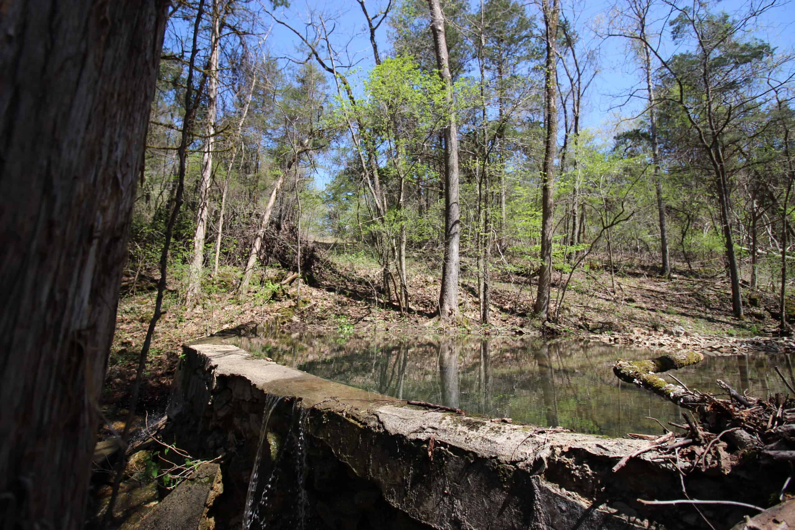 Home With Acreage On The White River In Baxter County, Arkansas