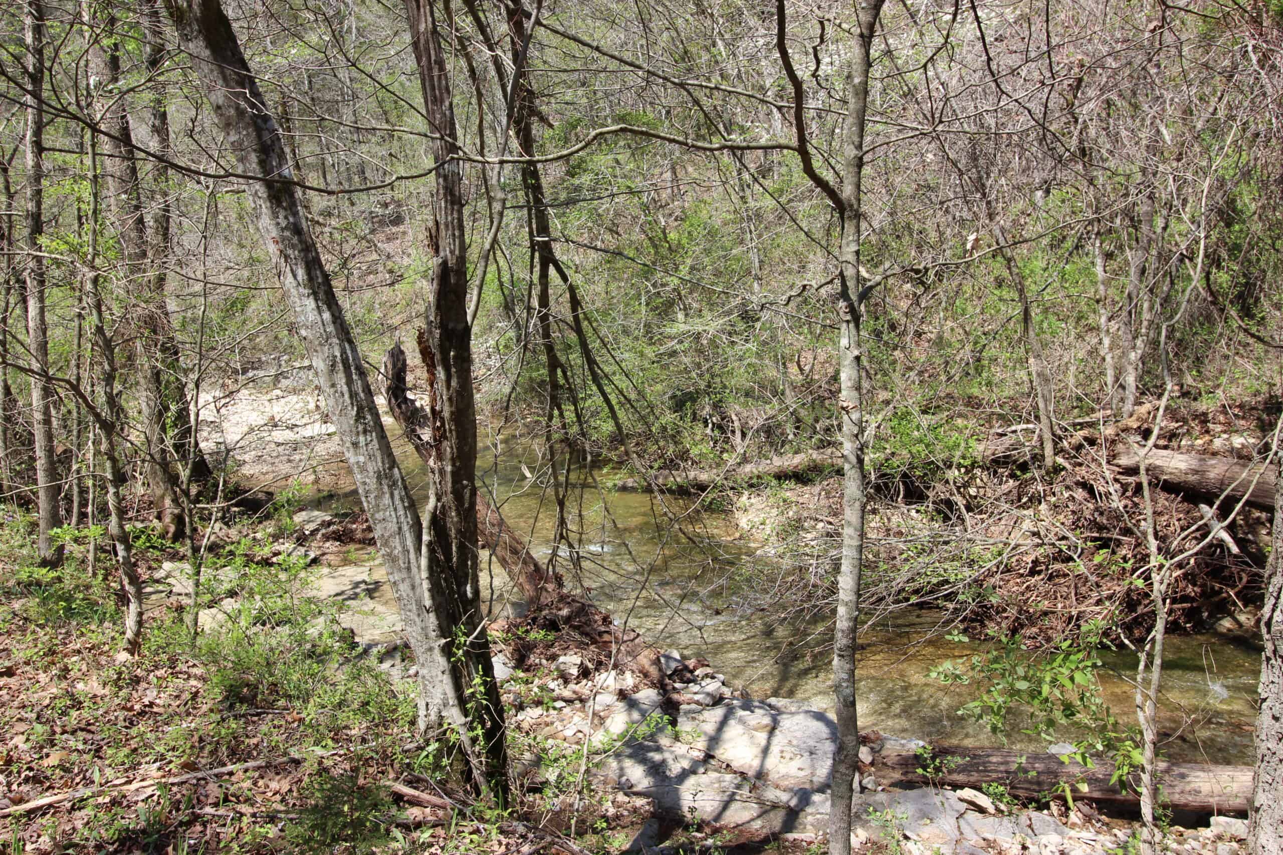 Home With Acreage On The White River In Baxter County, Arkansas