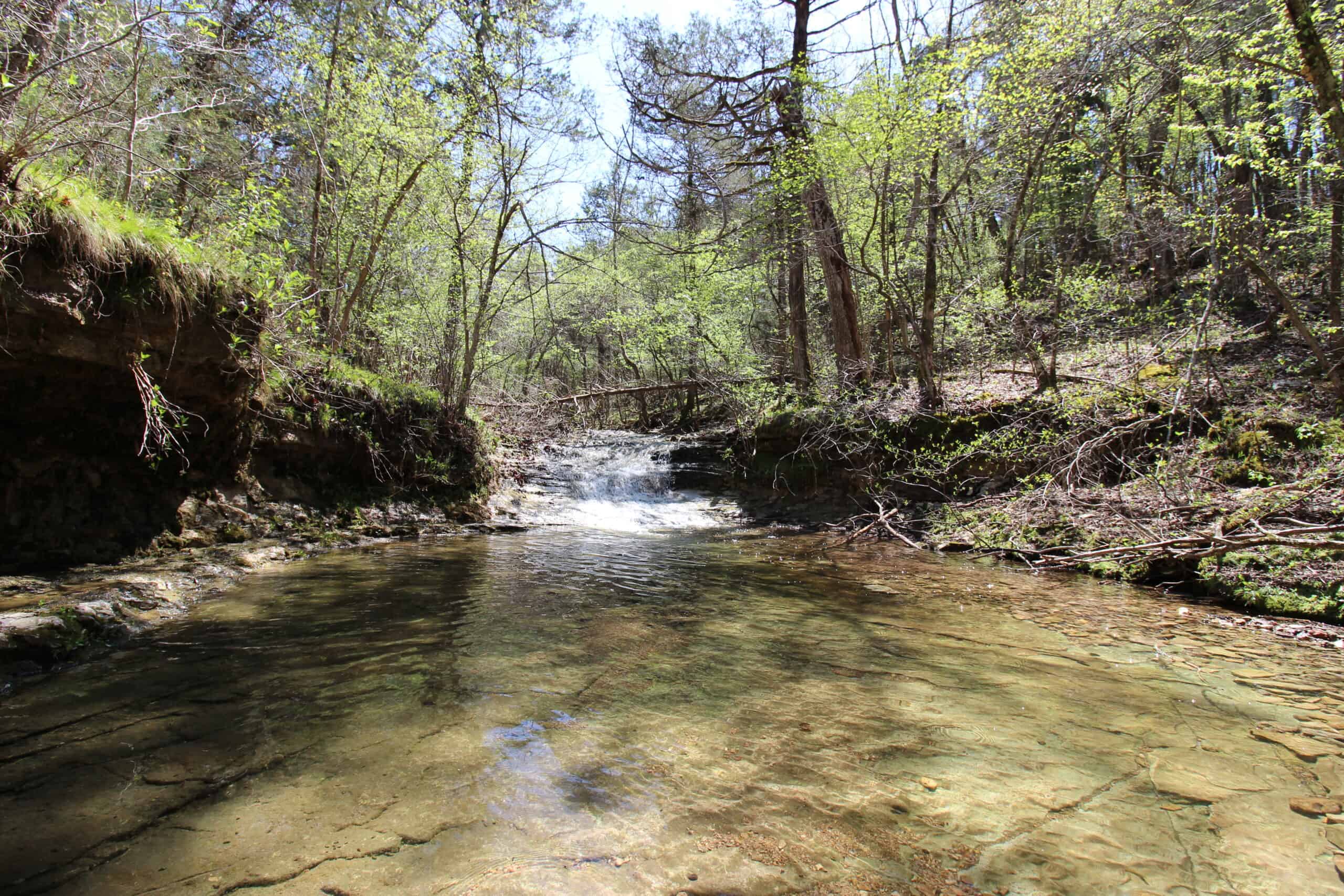 Home With Acreage On The White River In Baxter County, Arkansas