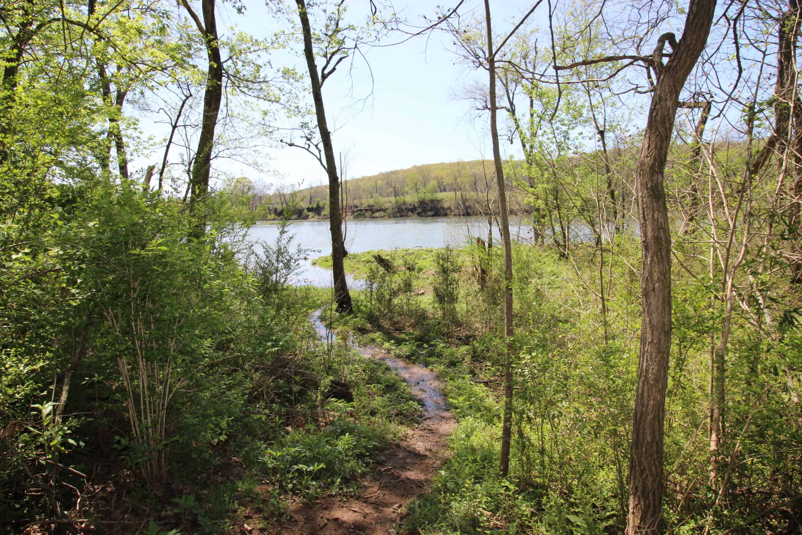 Home With Acreage On The White River In Baxter County, Arkansas