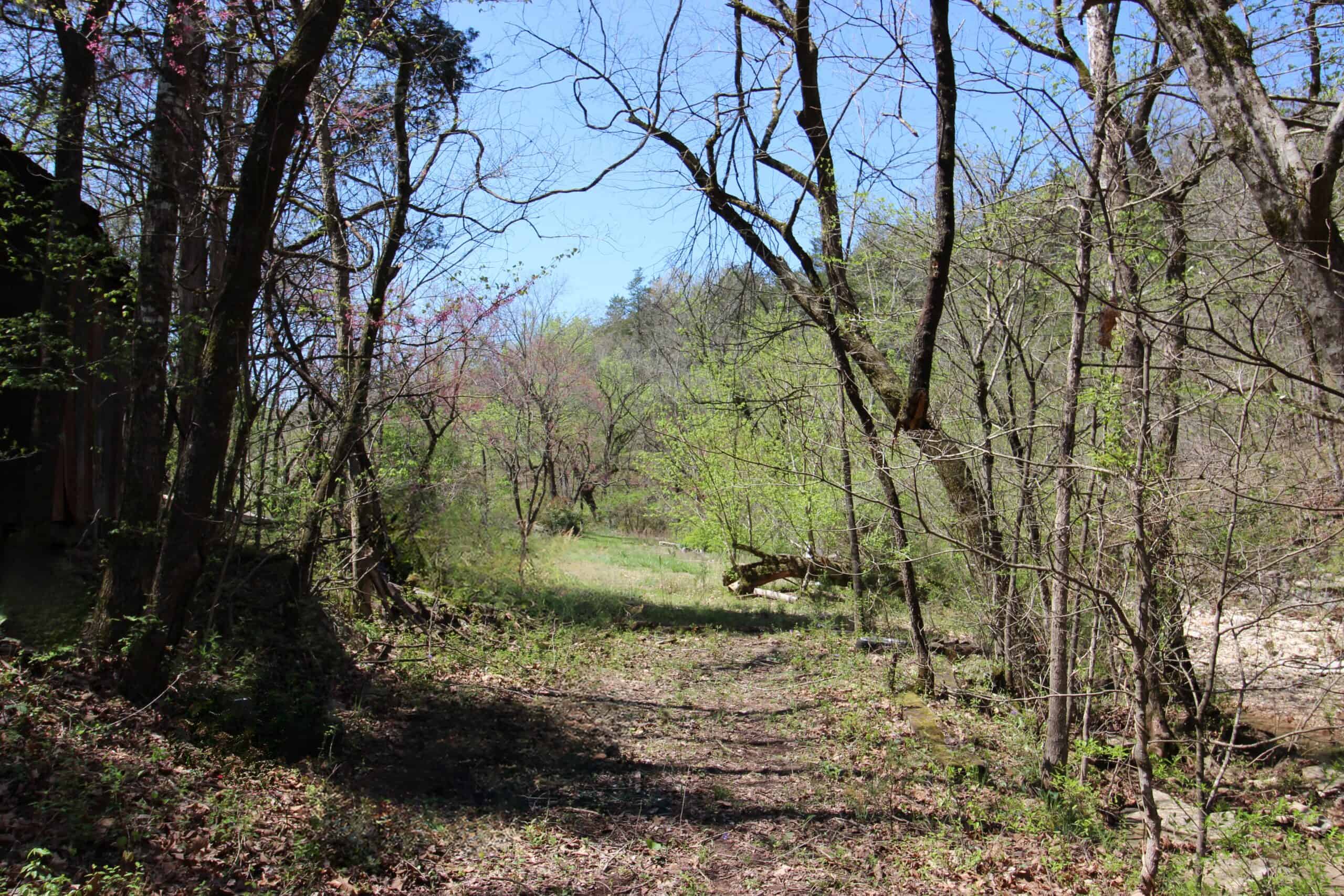 Home With Acreage On The White River In Baxter County, Arkansas