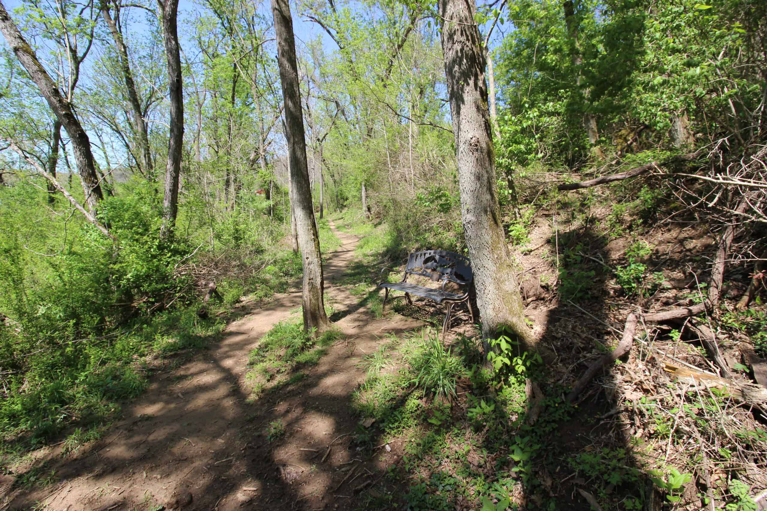 Home With Acreage On The White River In Baxter County, Arkansas