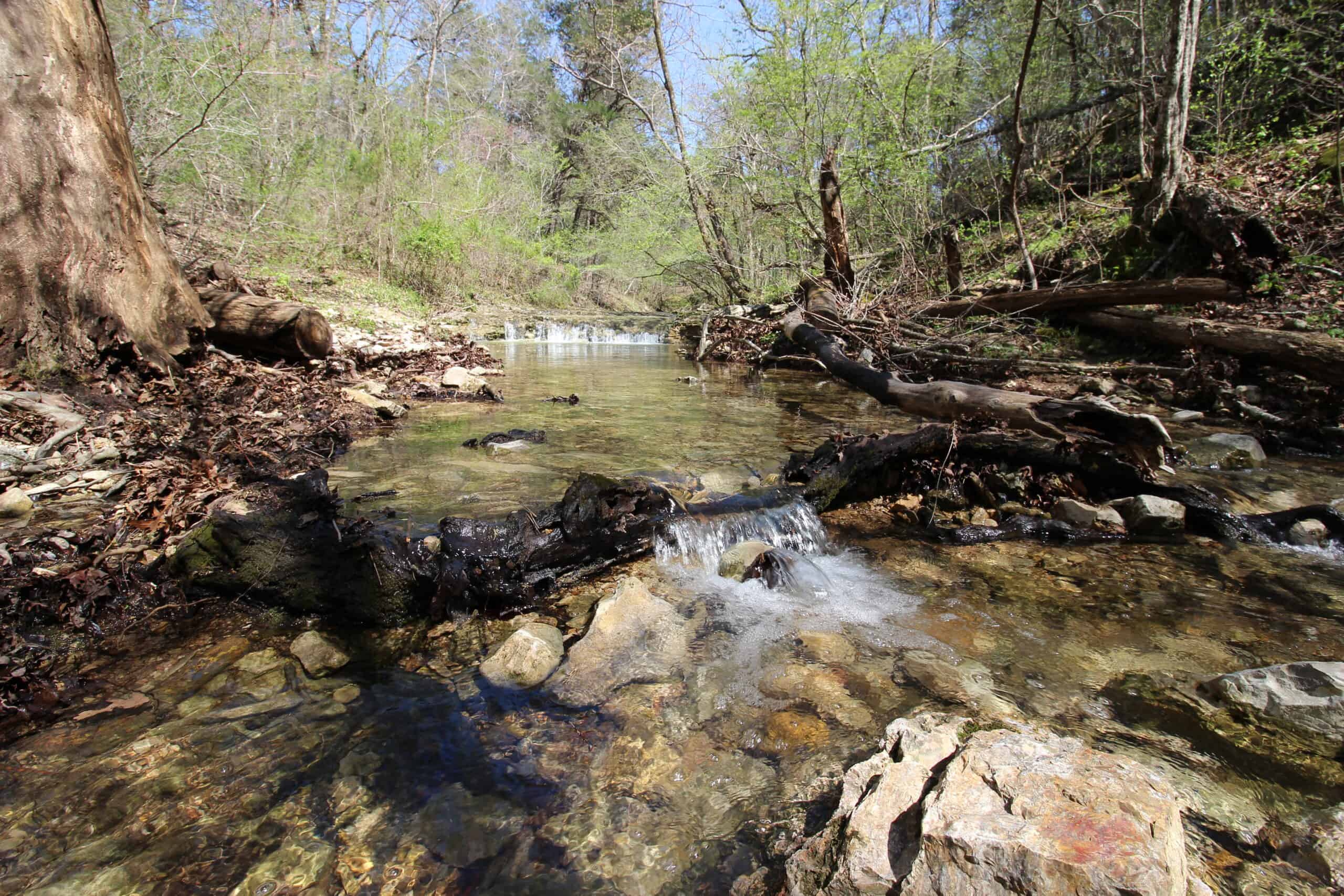 Home With Acreage On The White River In Baxter County, Arkansas