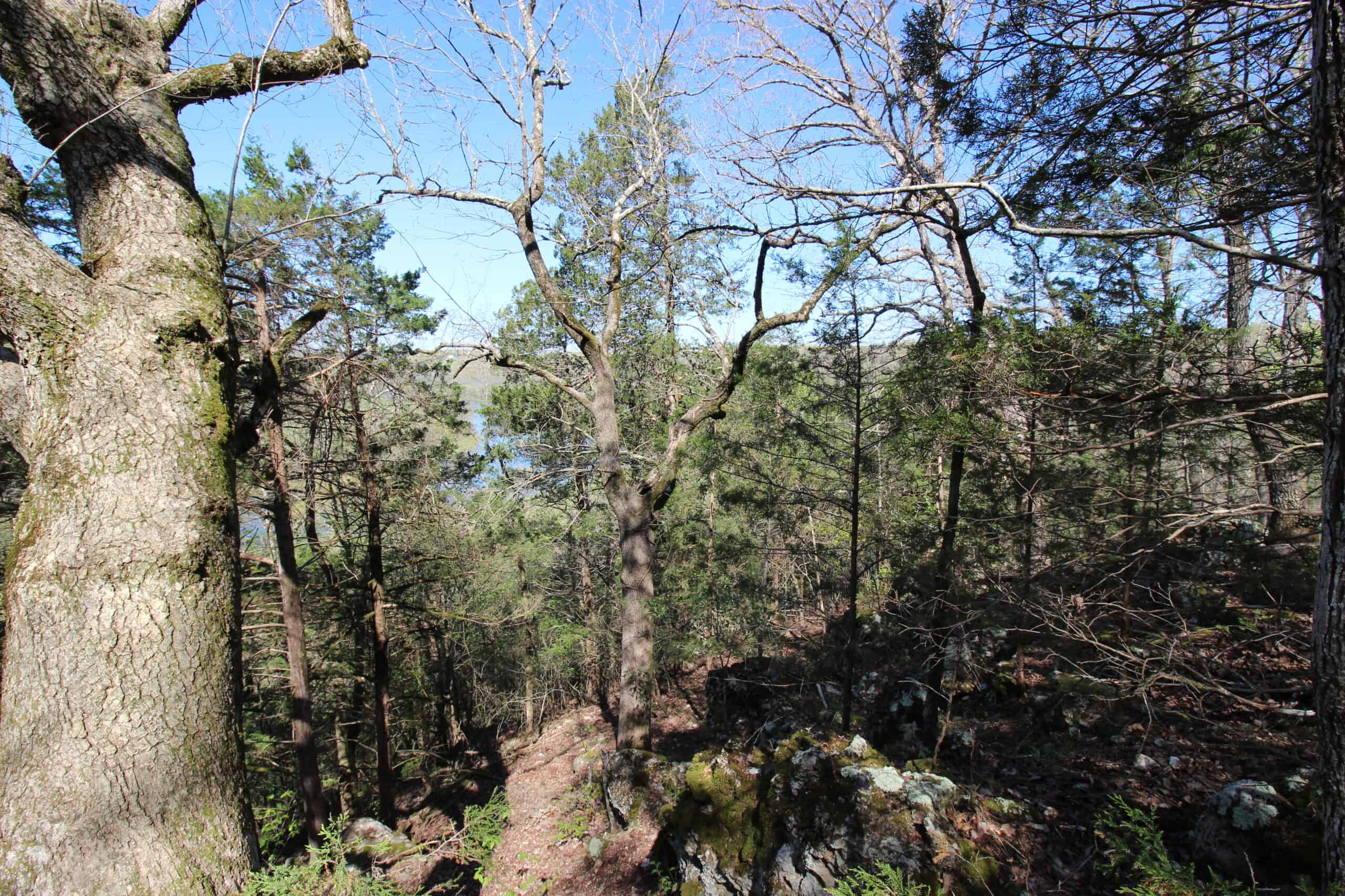 Home With Acreage On The White River In Baxter County, Arkansas