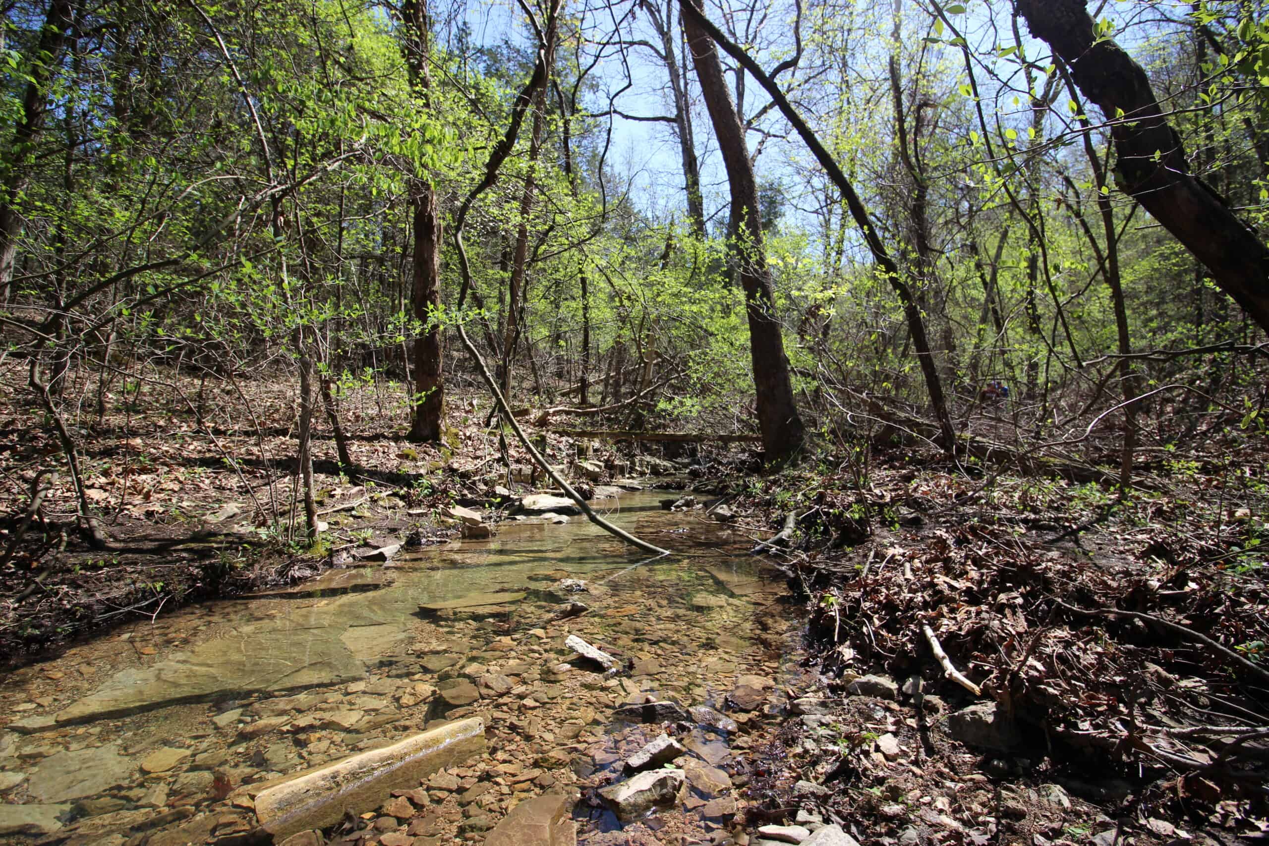 Home With Acreage On The White River In Baxter County, Arkansas