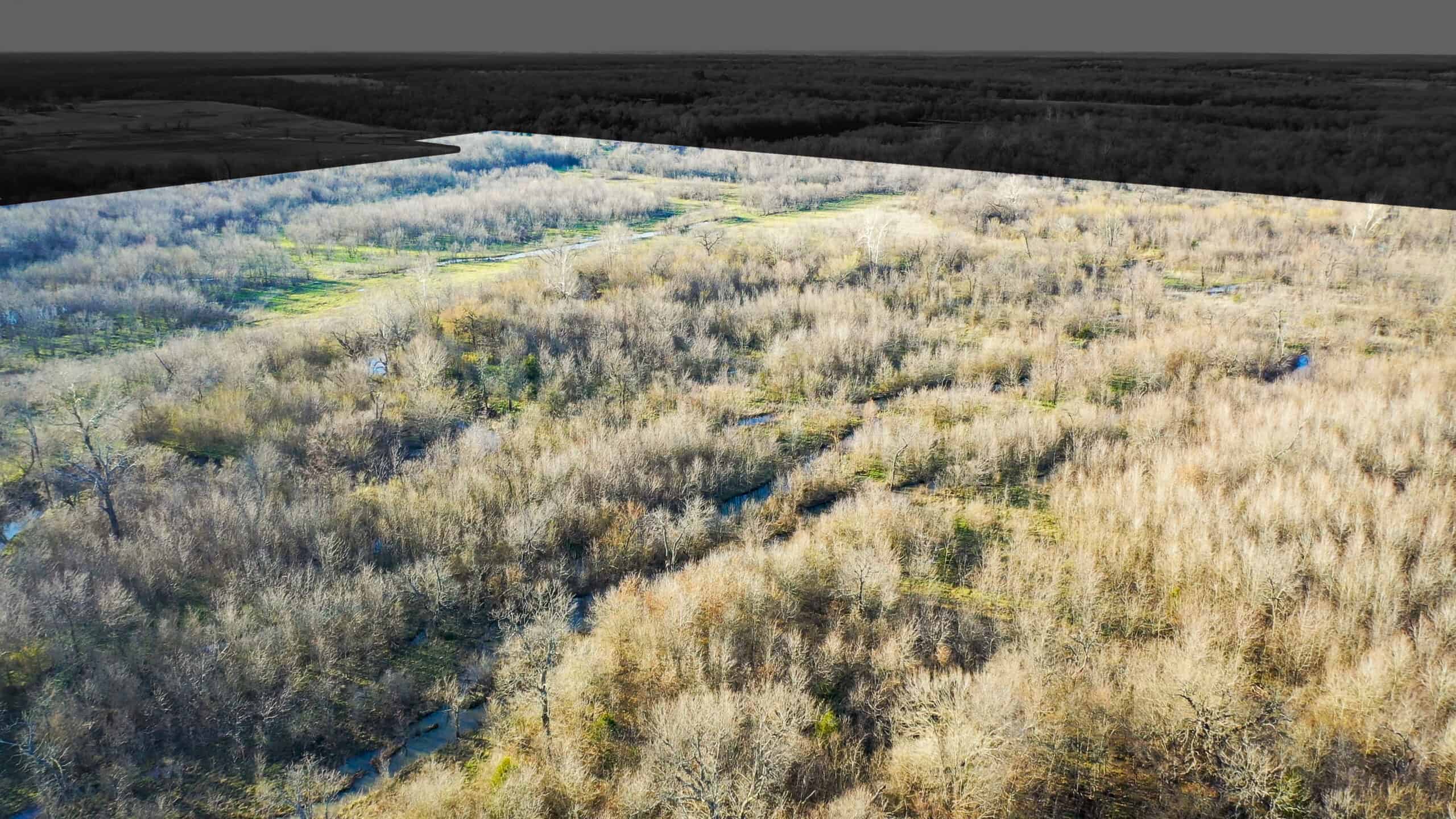 Prime Texas Hunting Land For Sale in Sumner TX