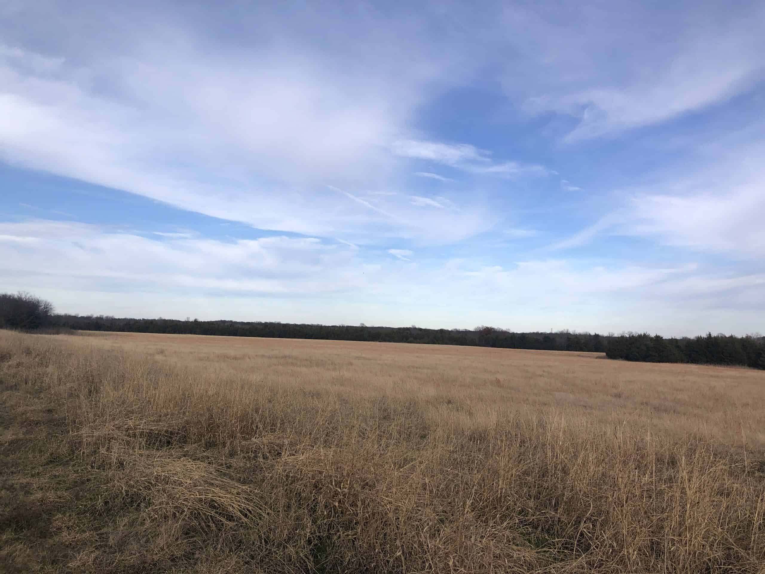 Partially Wooded Acreage in Northeast Texas