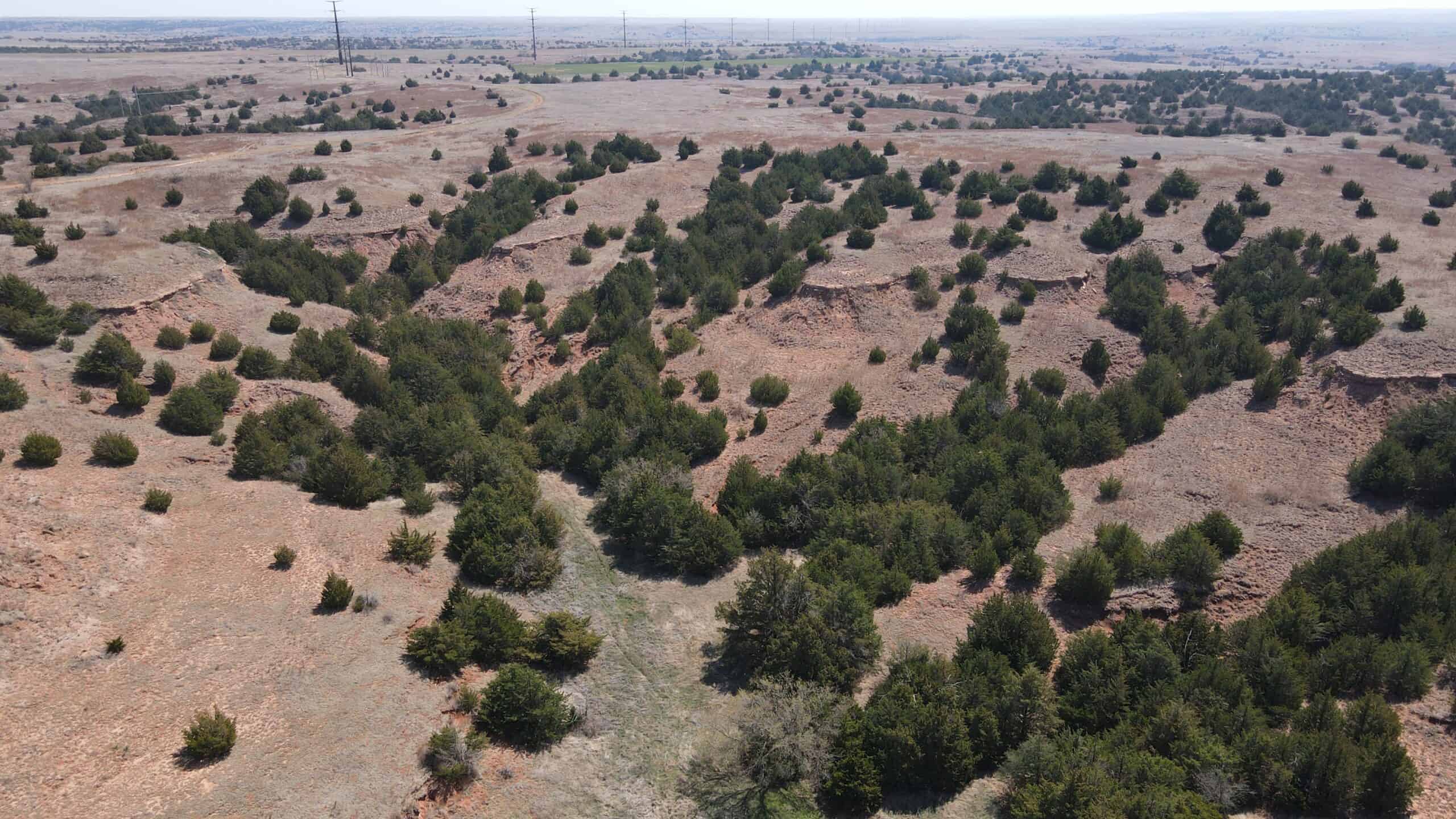 578± Acres – Premier Hunting & Recreational Ranch in Barber County, Kansas
