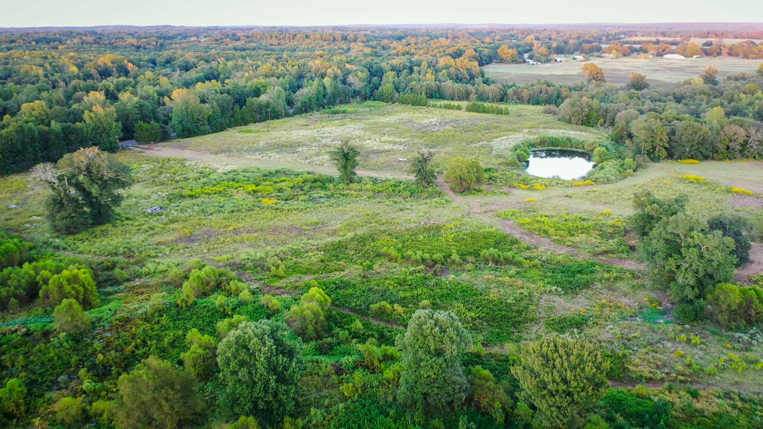 Recreational Hunting Land Winnsboro TX