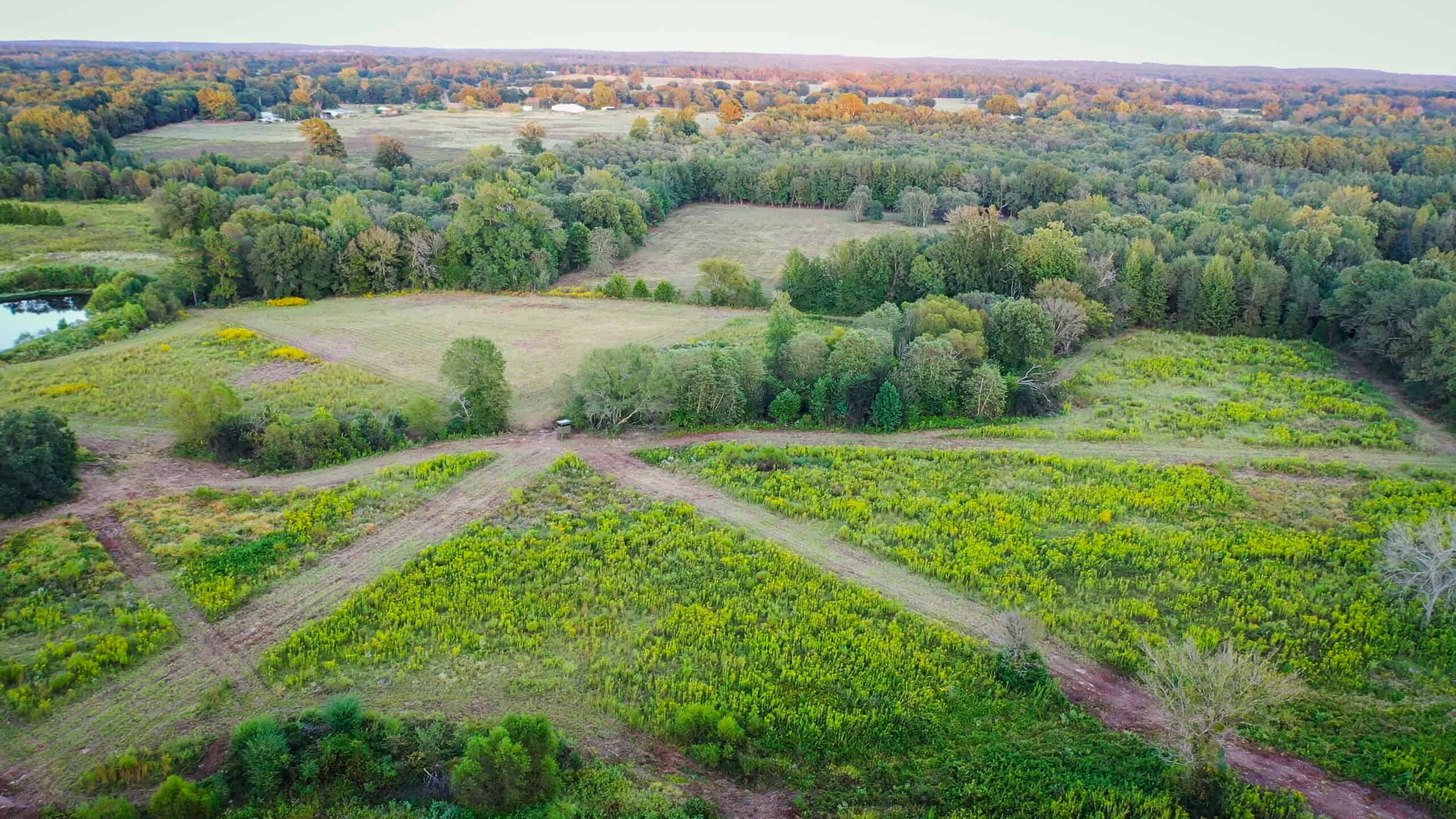 Recreational Hunting Land Winnsboro TX