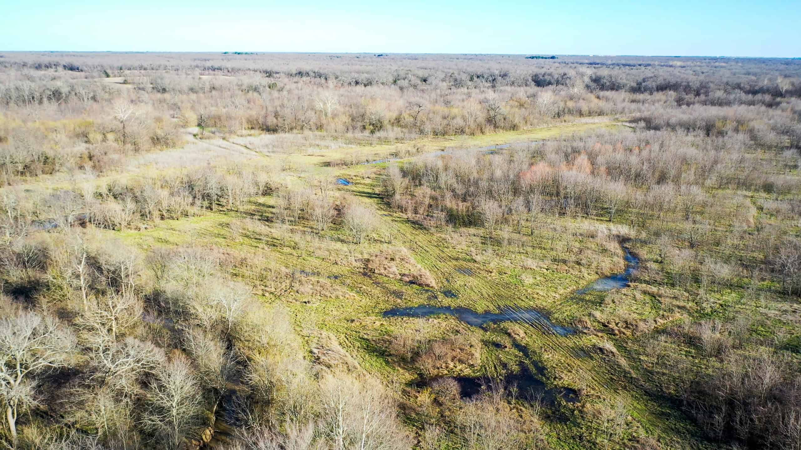 Prime Texas Hunting Land For Sale in Sumner TX