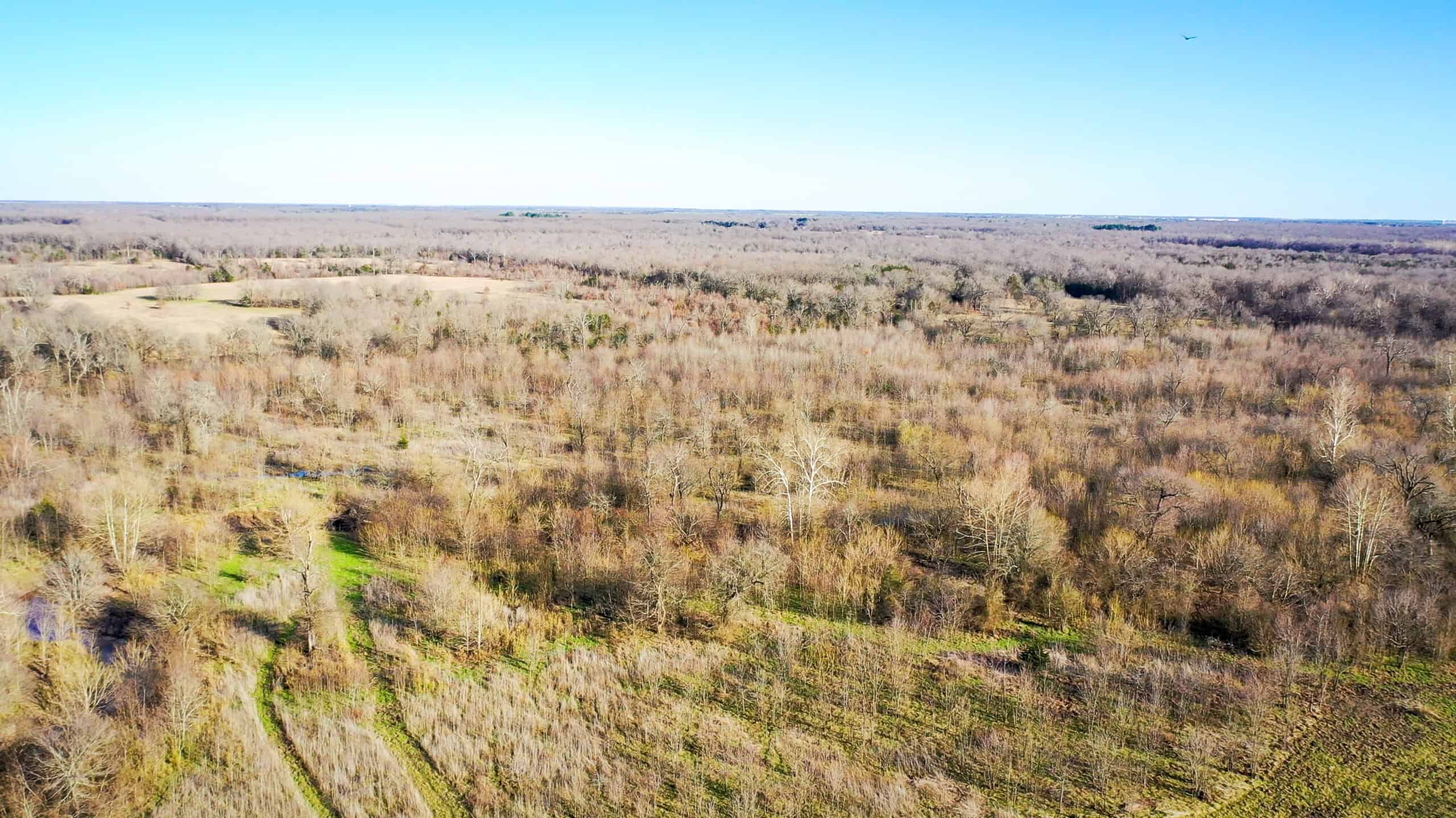 Prime Texas Hunting Land For Sale in Sumner TX