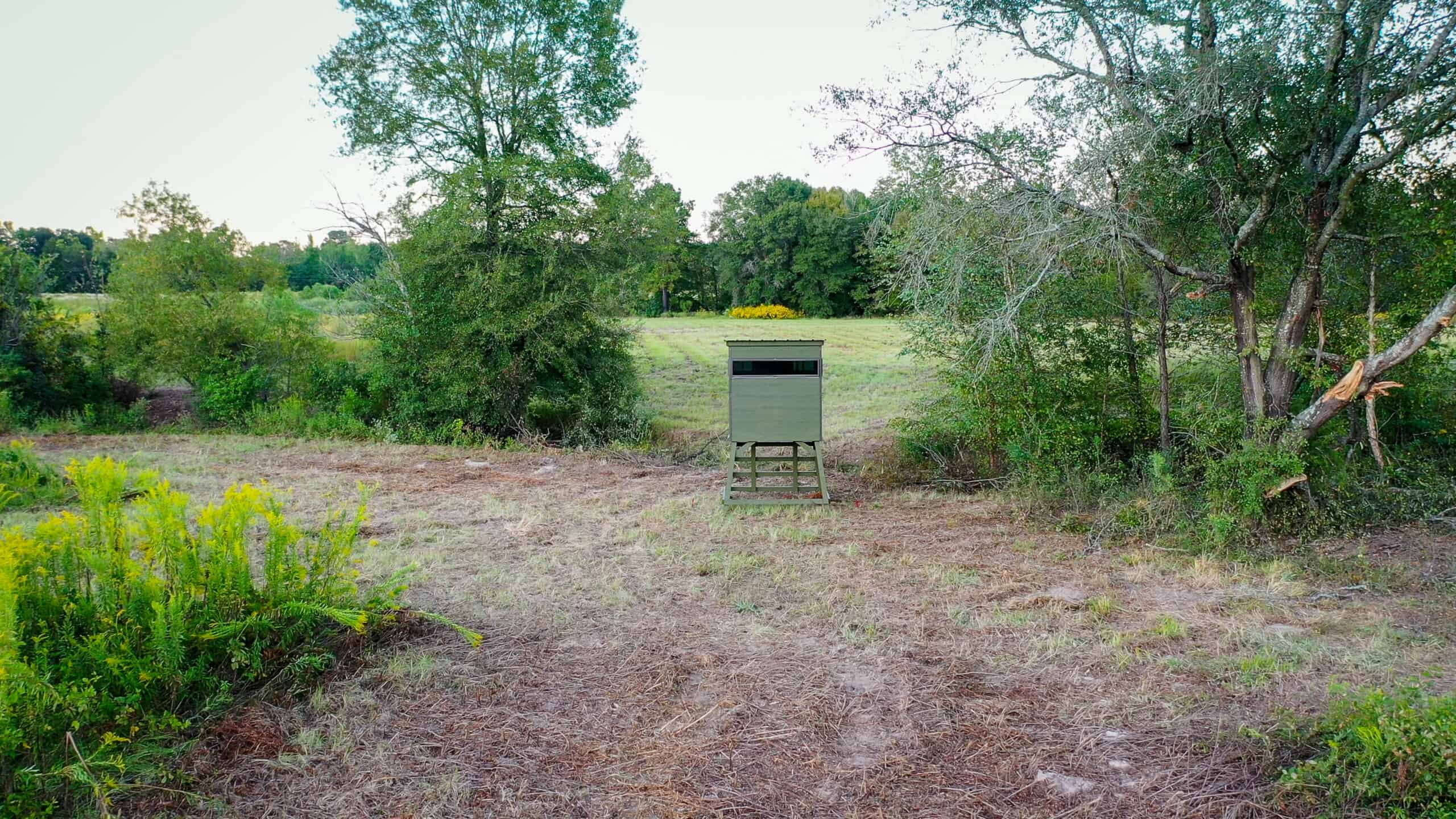 Recreational Hunting Land Winnsboro TX
