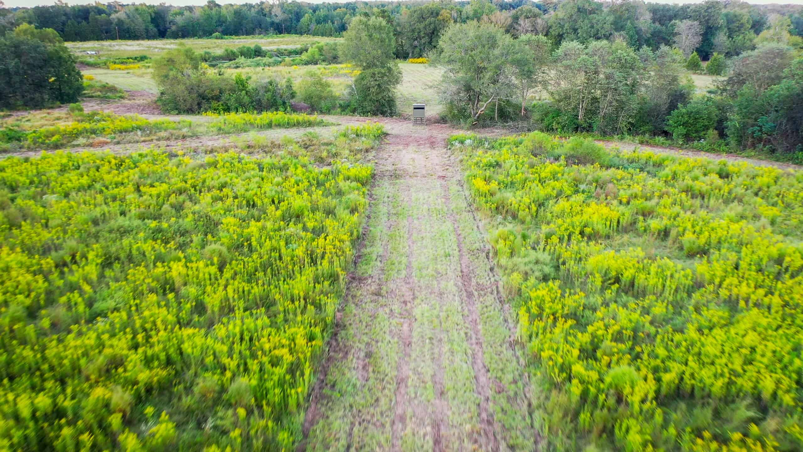 Recreational Hunting Land Winnsboro TX