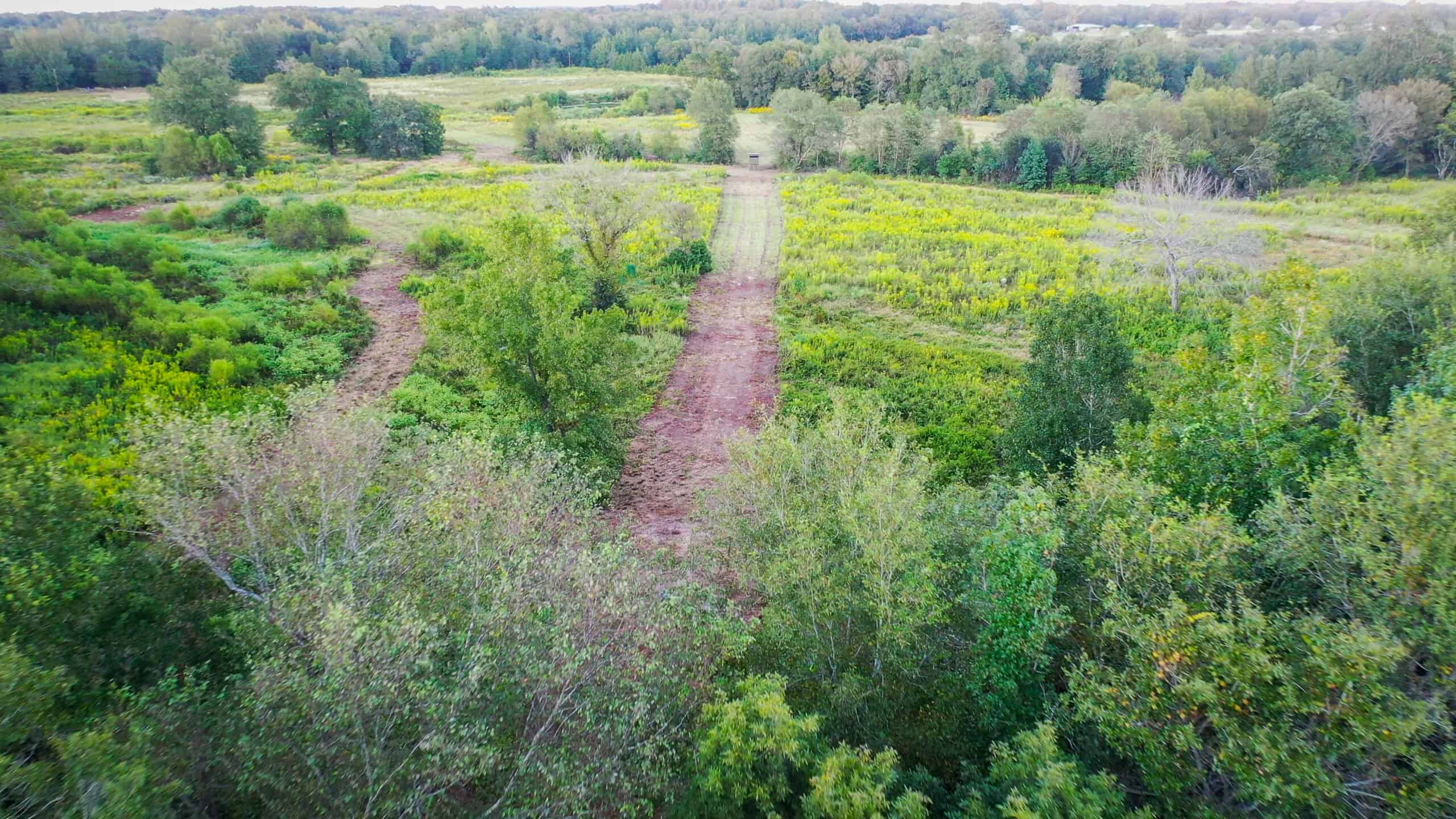 Recreational Hunting Land Winnsboro TX