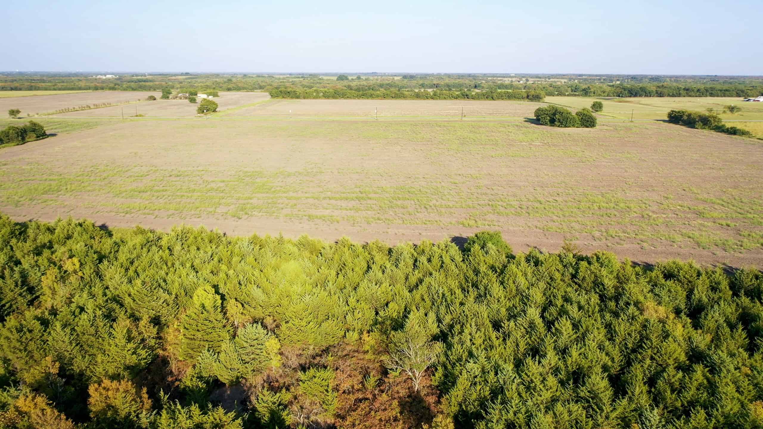 Pasture and Ranch Land For Sale in NE TX