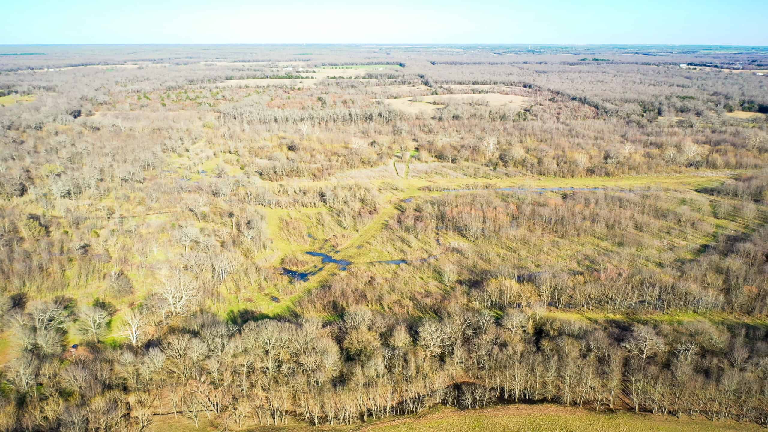 Prime Texas Hunting Land For Sale in Sumner TX