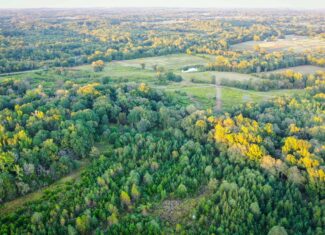 Recreational Hunting Land Winnsboro TX