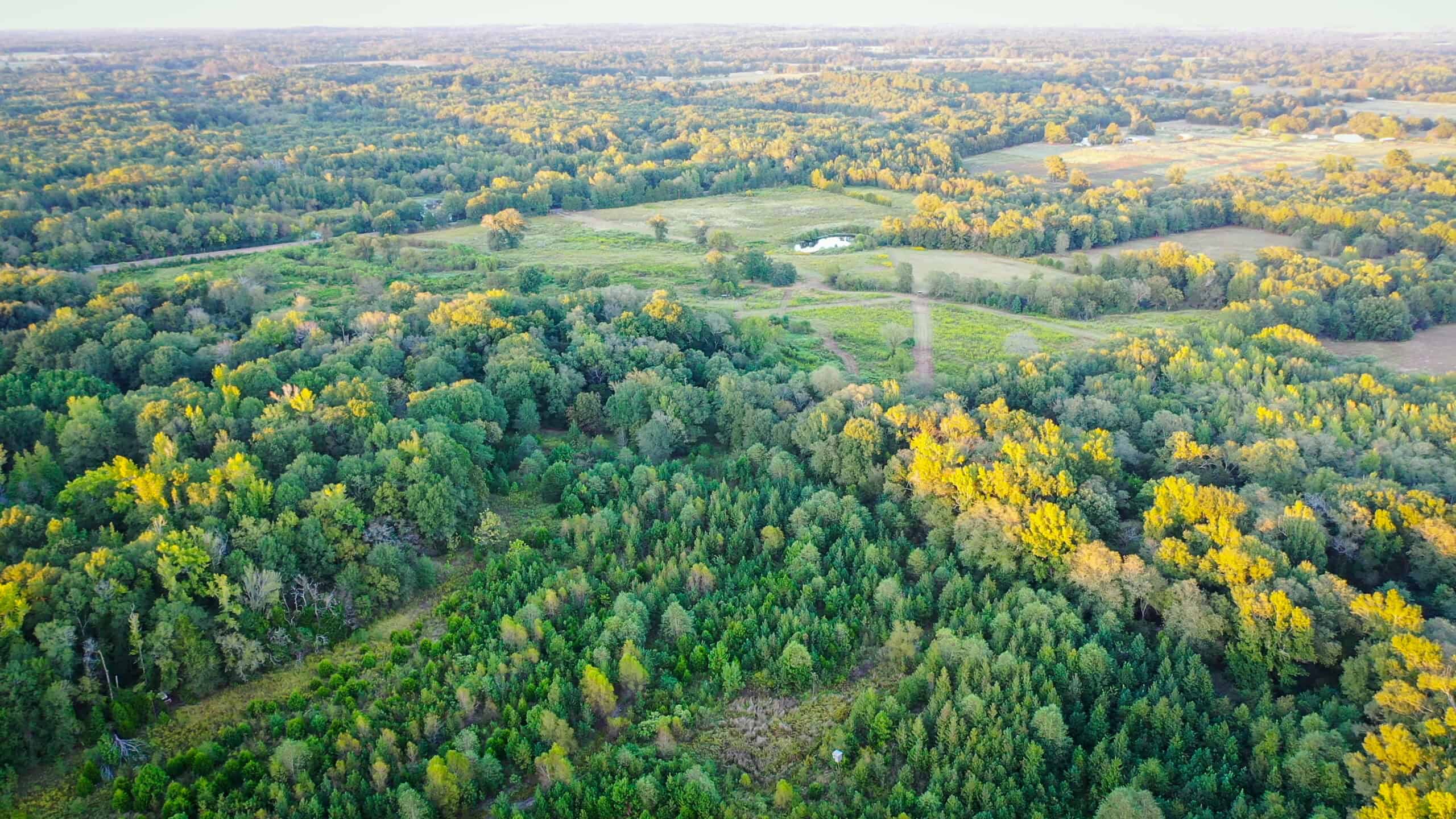 Recreational Hunting Land Winnsboro TX