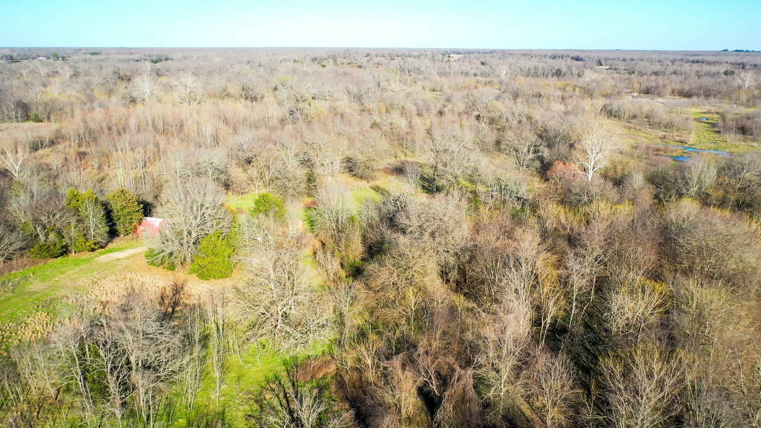 Prime Texas Hunting Land For Sale in Sumner TX