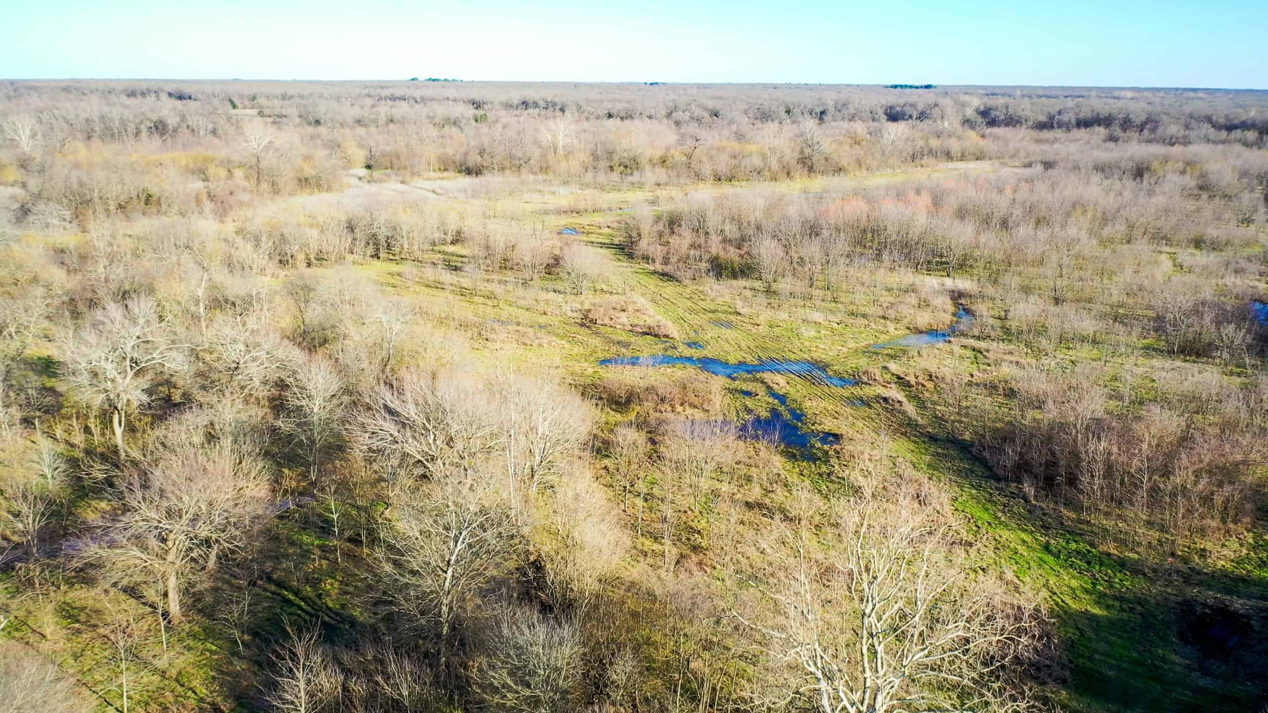 Prime Texas Hunting Land For Sale in Sumner TX