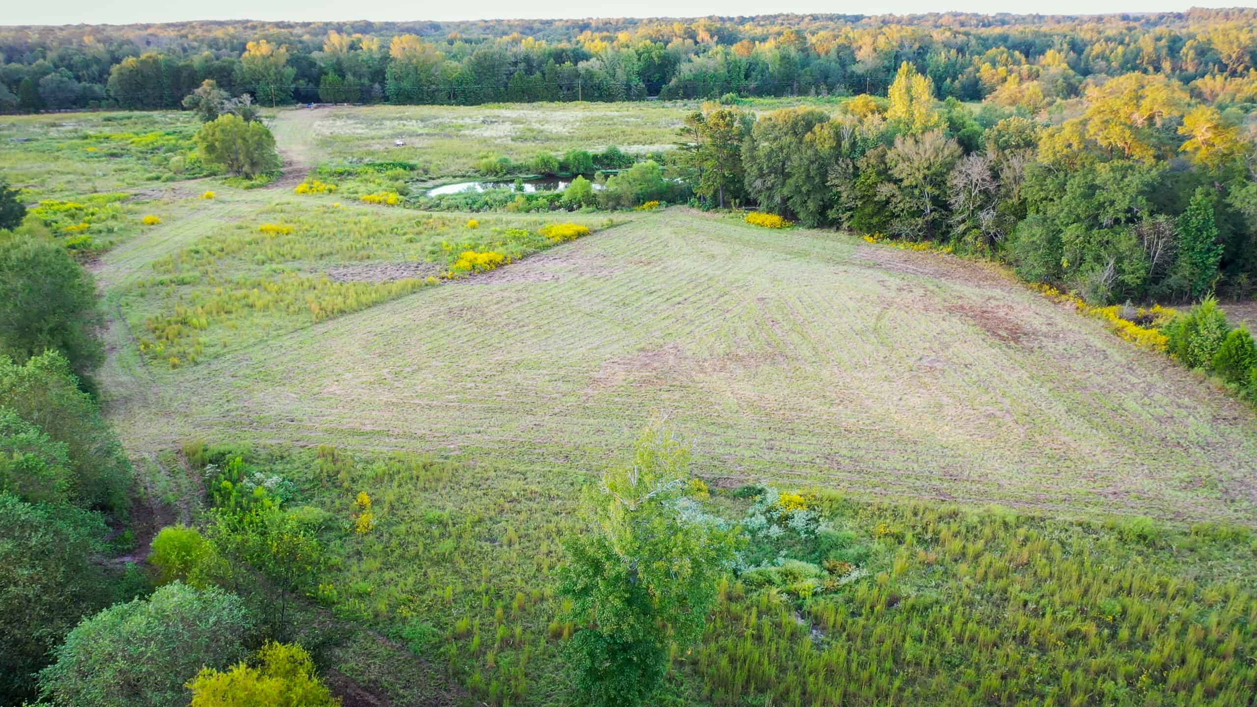 Recreational Hunting Land Winnsboro TX