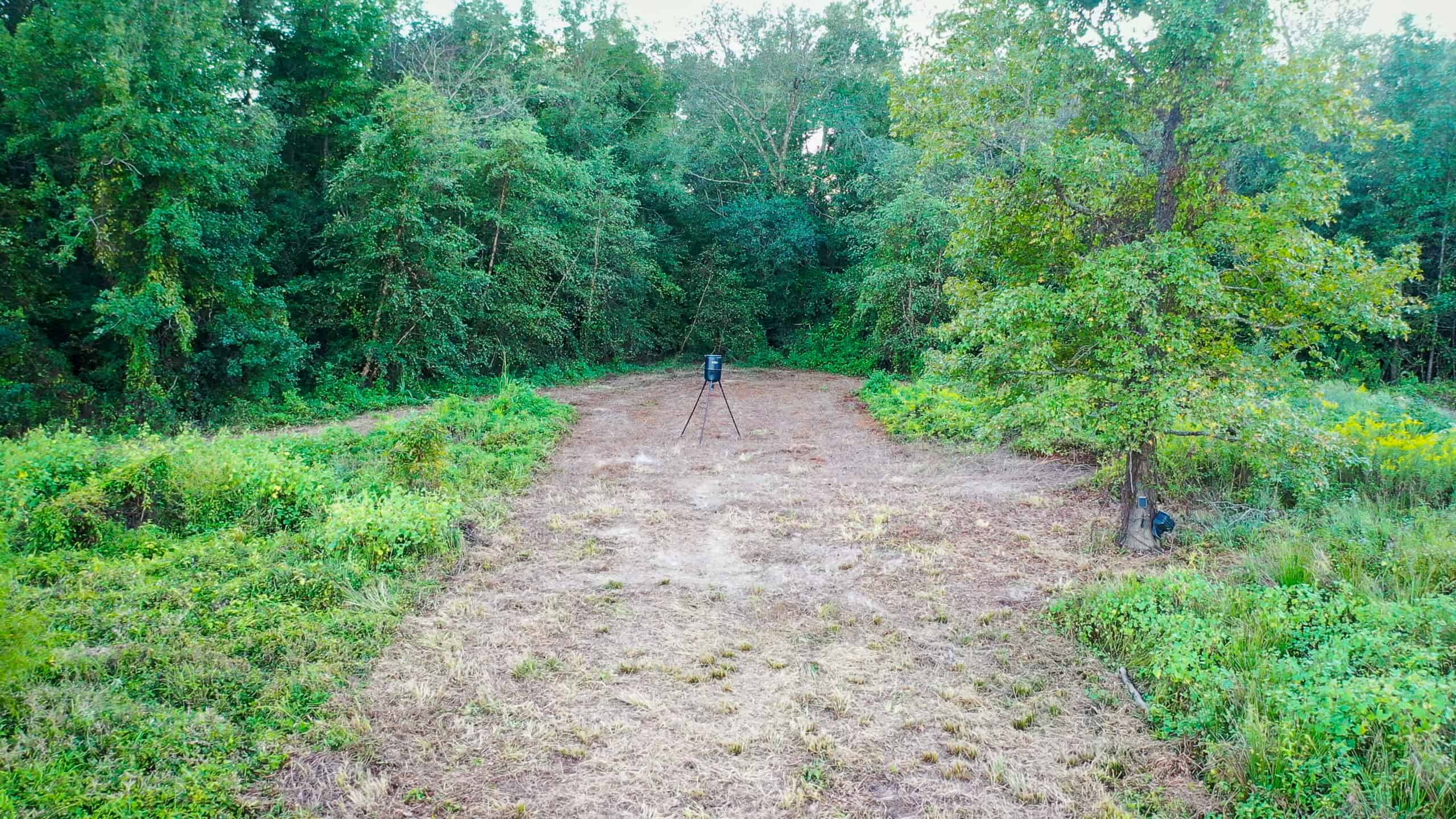 Recreational Hunting Land Winnsboro TX
