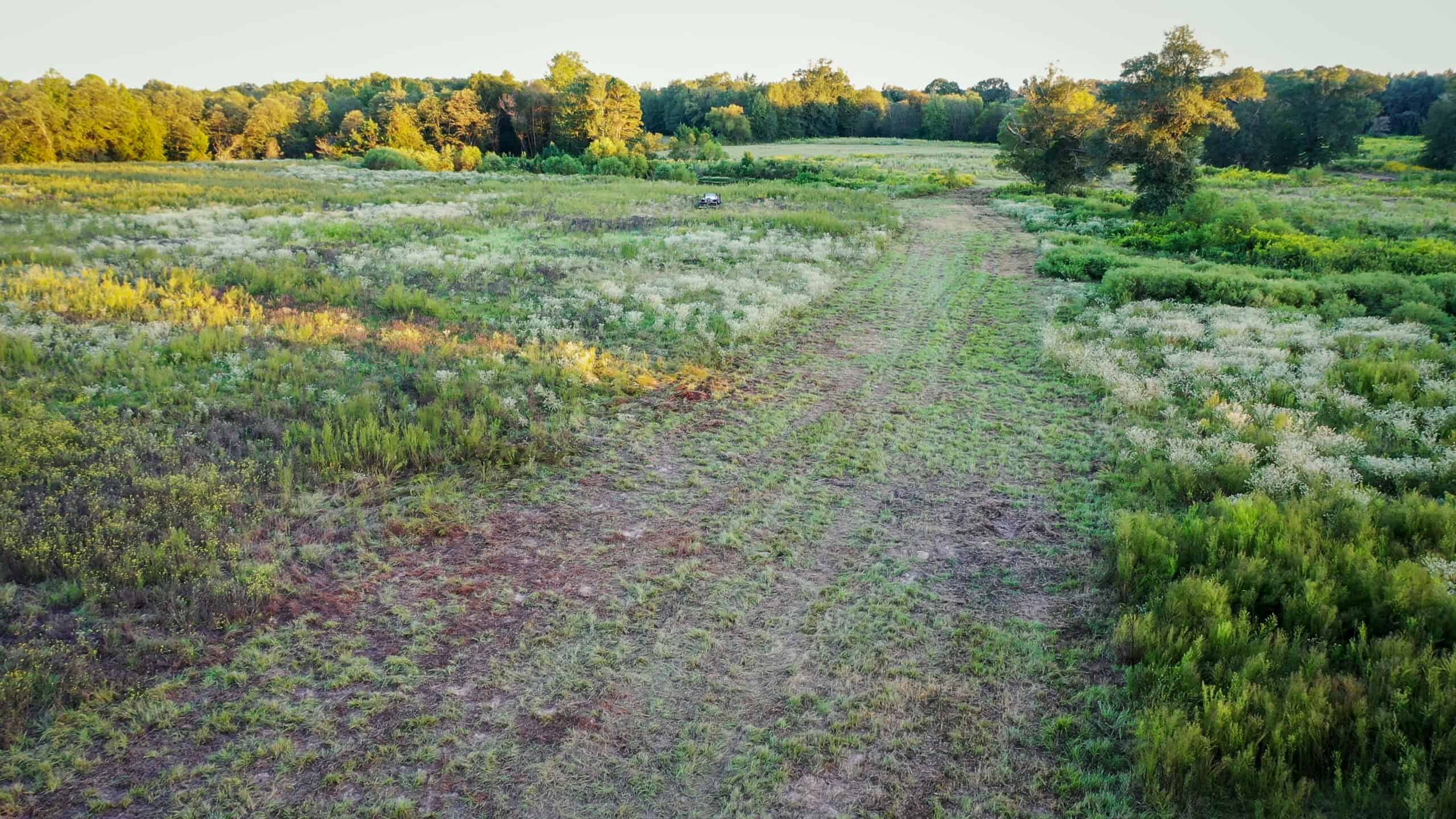 Recreational Hunting Land Winnsboro TX