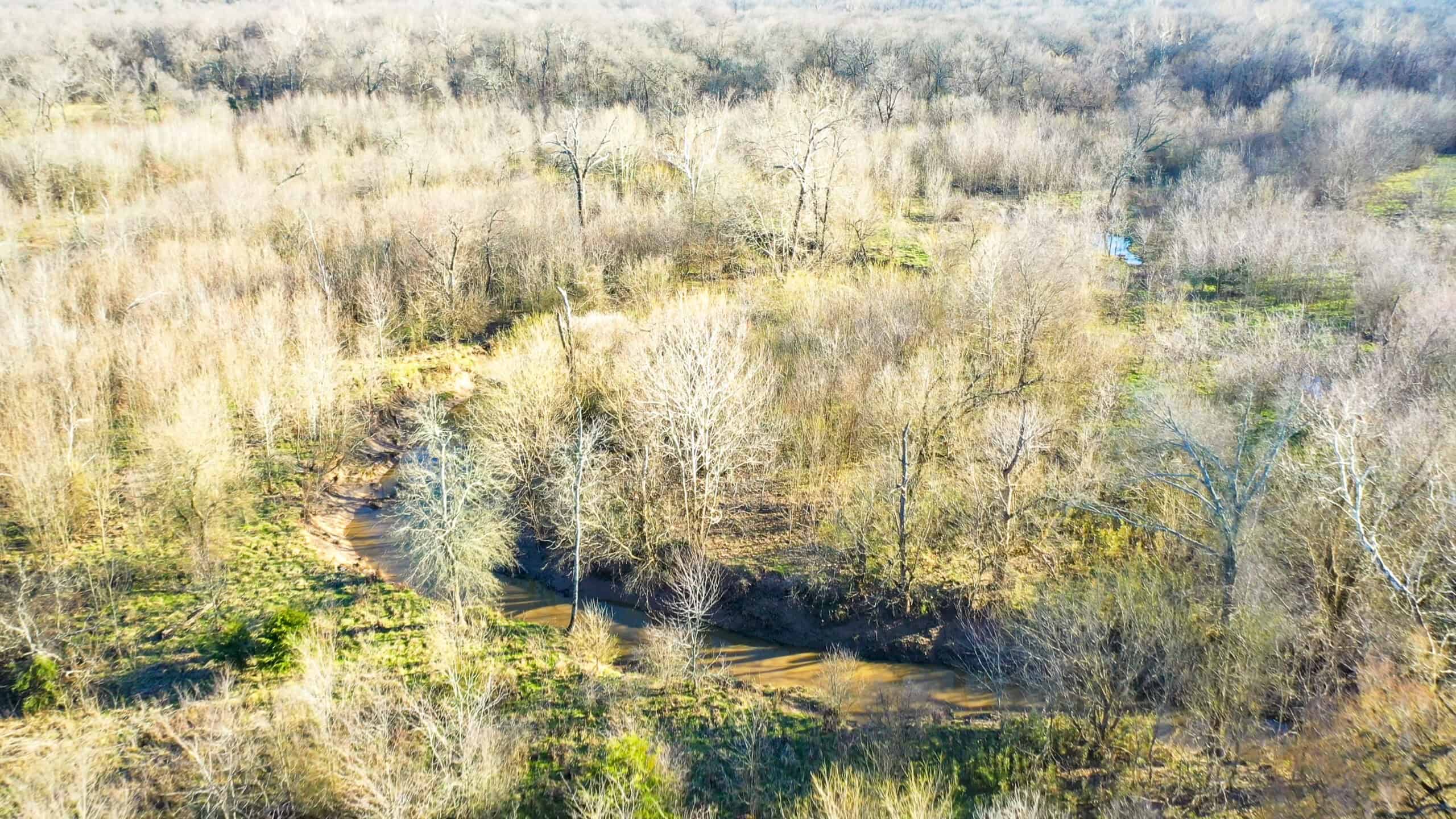 Prime Texas Hunting Land For Sale in Sumner TX