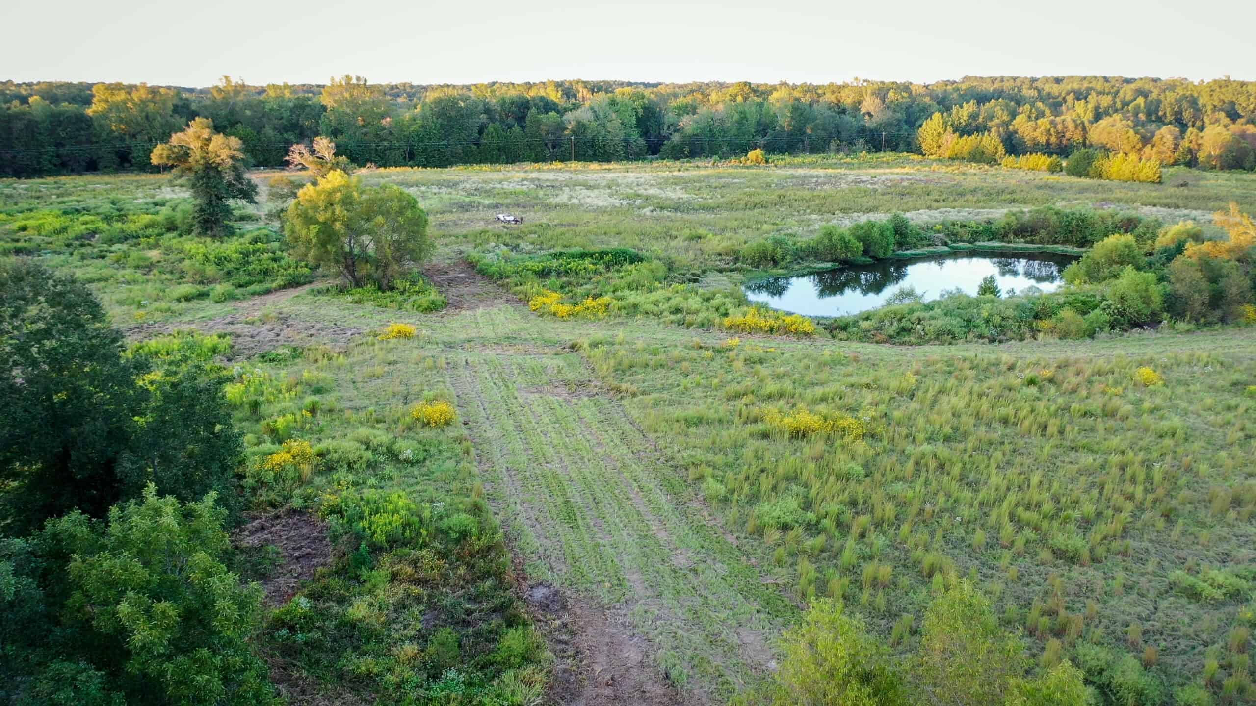 Recreational Hunting Land Winnsboro TX