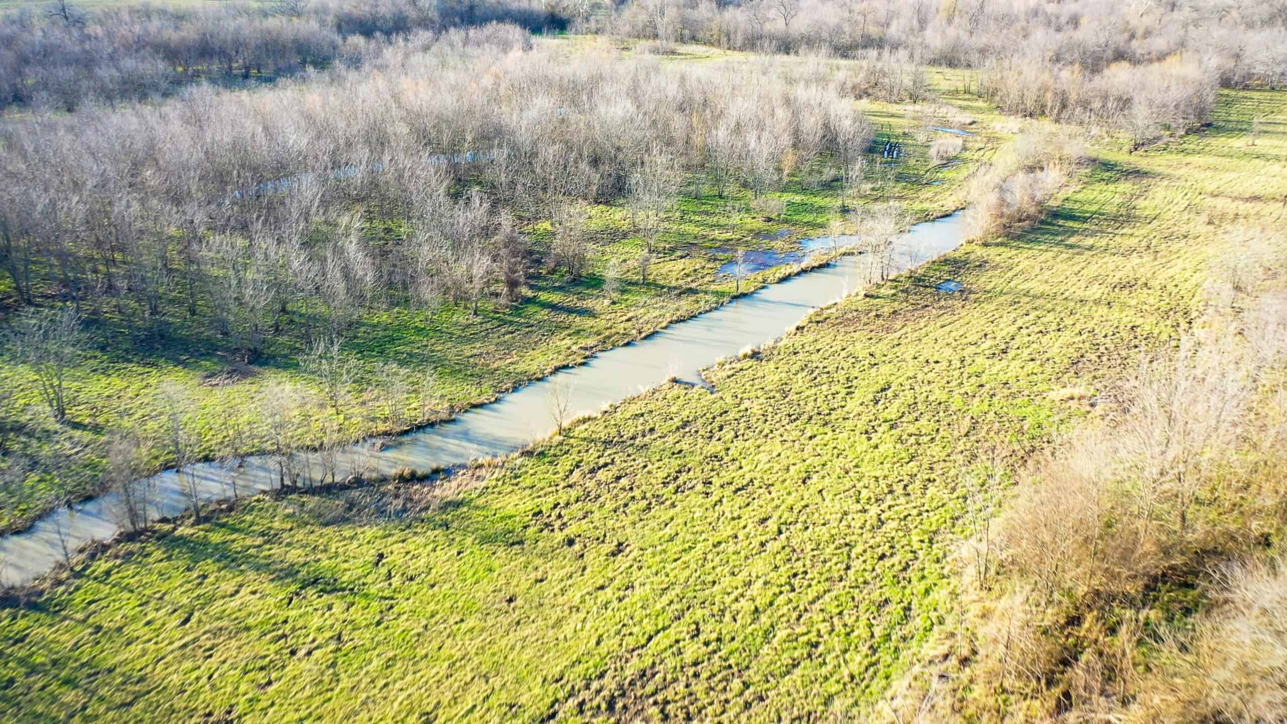 Prime Texas Hunting Land For Sale in Sumner TX