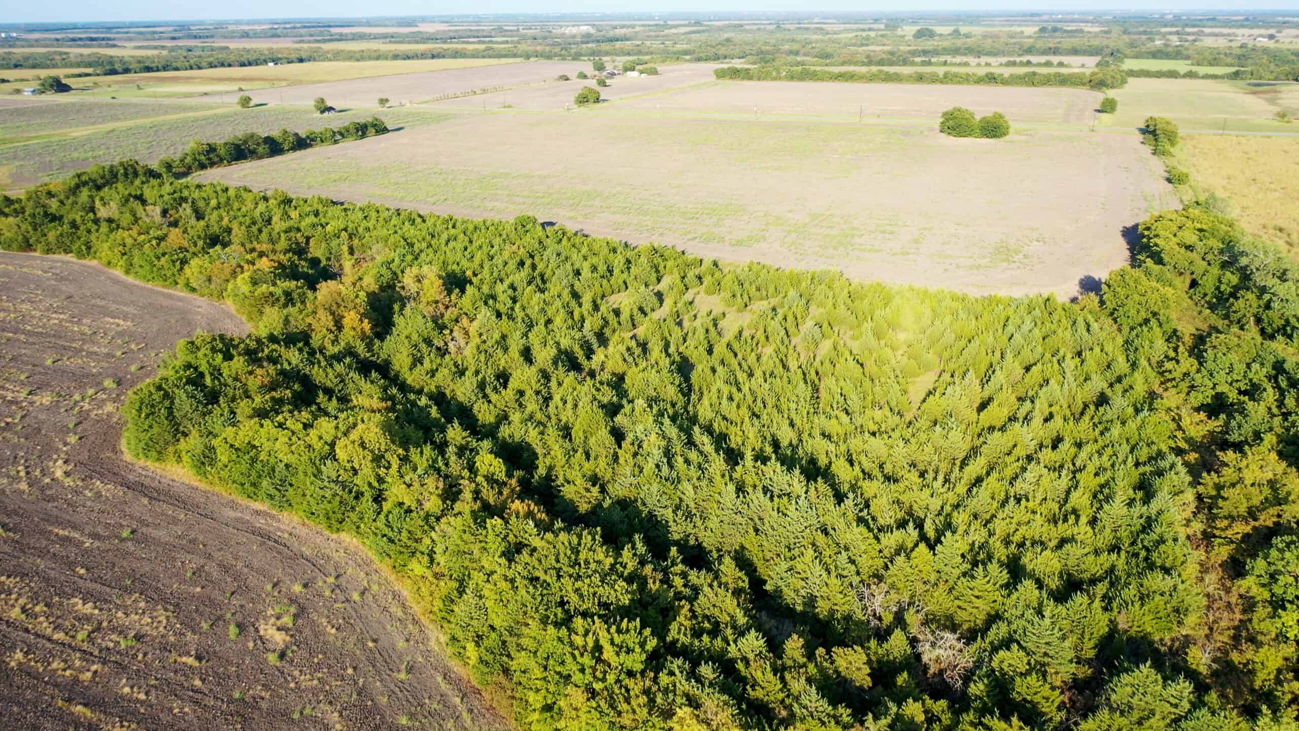Pasture and Ranch Land For Sale in NE TX
