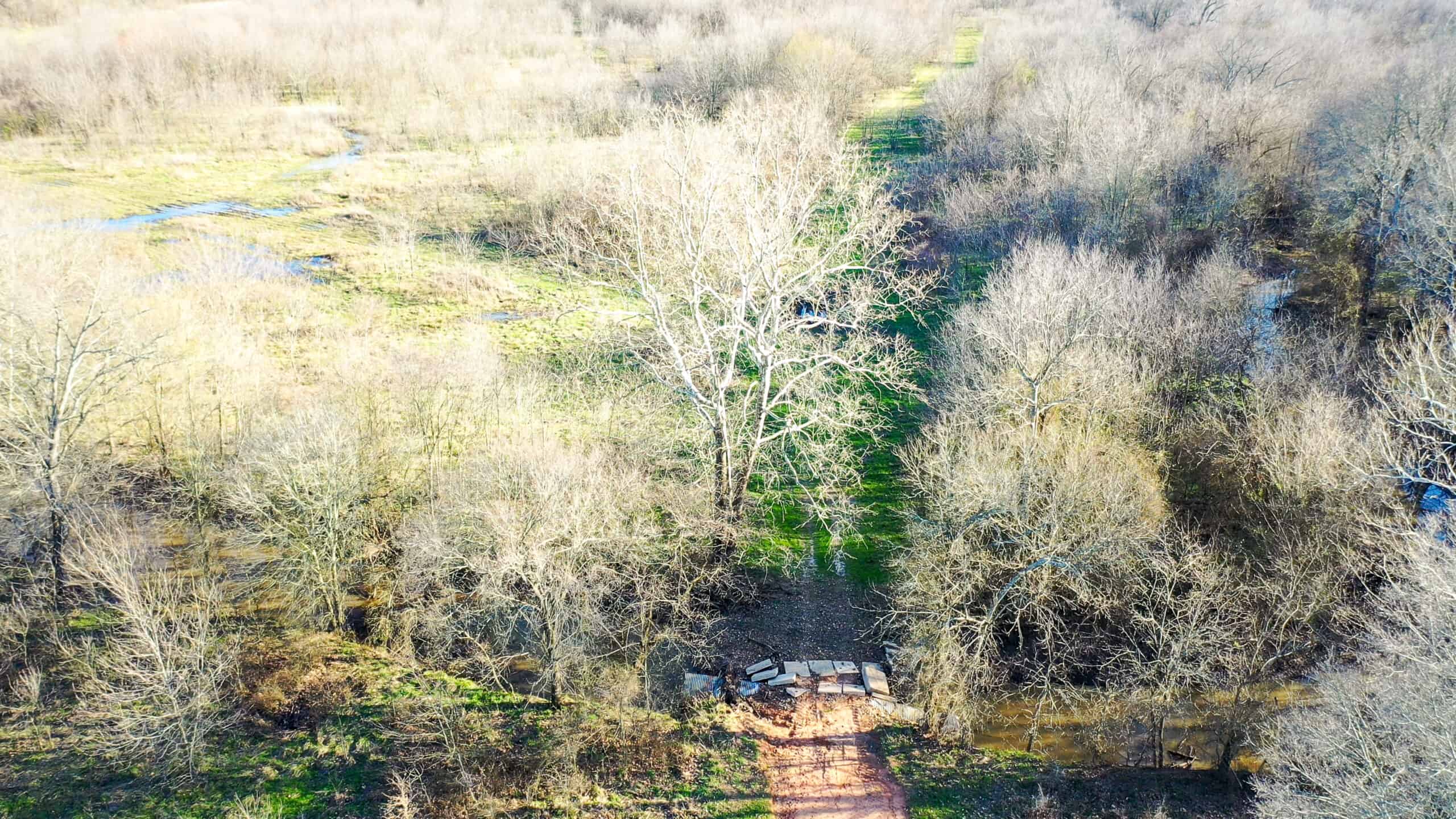 Prime Texas Hunting Land For Sale in Sumner TX