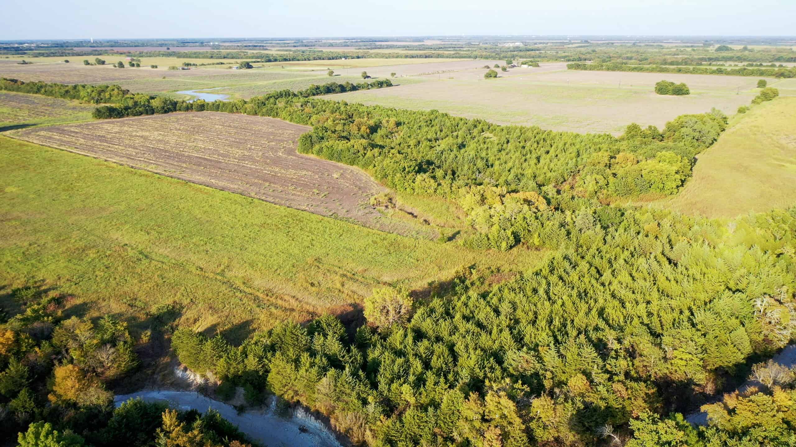 Pasture and Ranch Land For Sale in NE TX