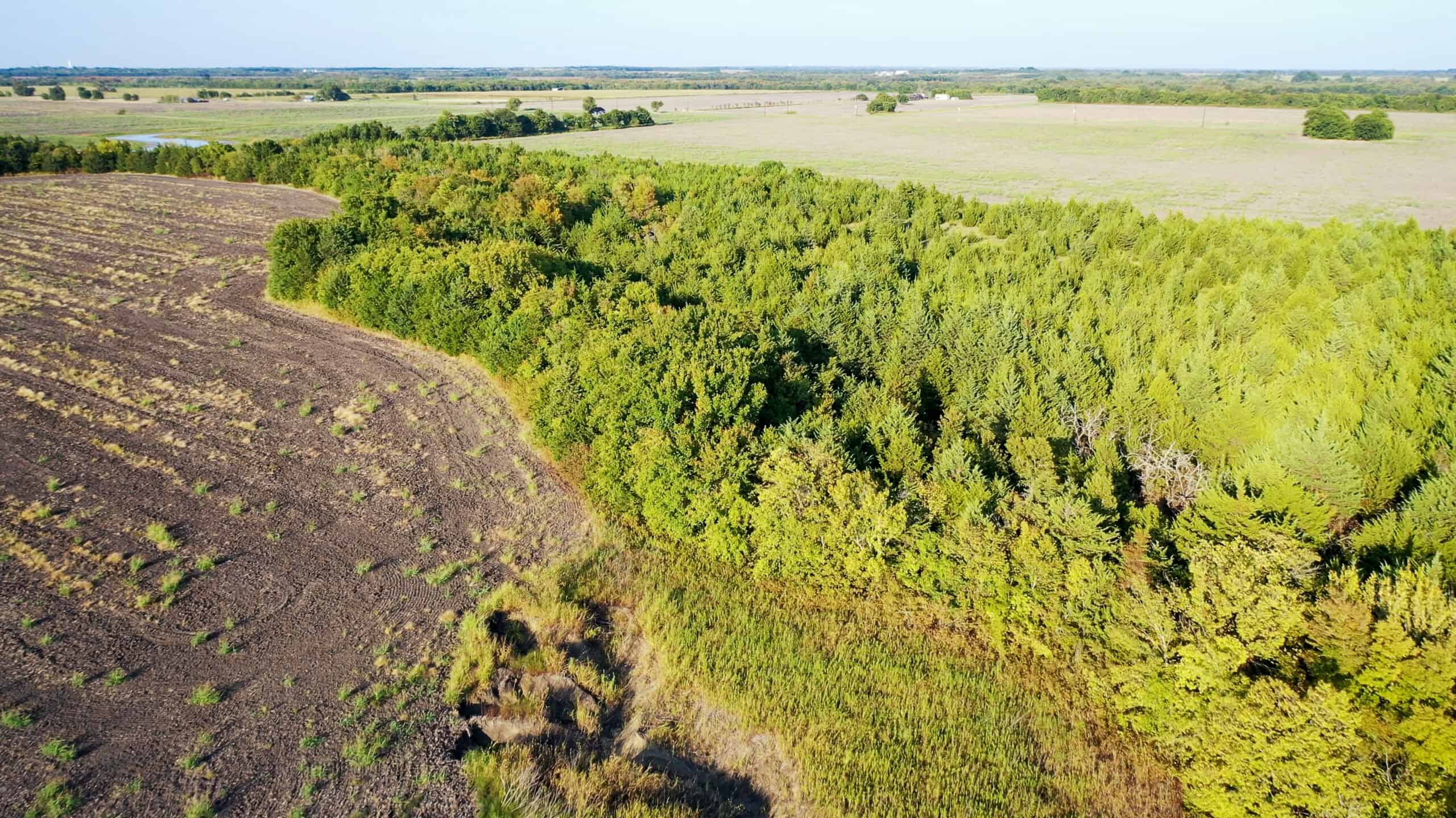 Pasture and Ranch Land For Sale in NE TX