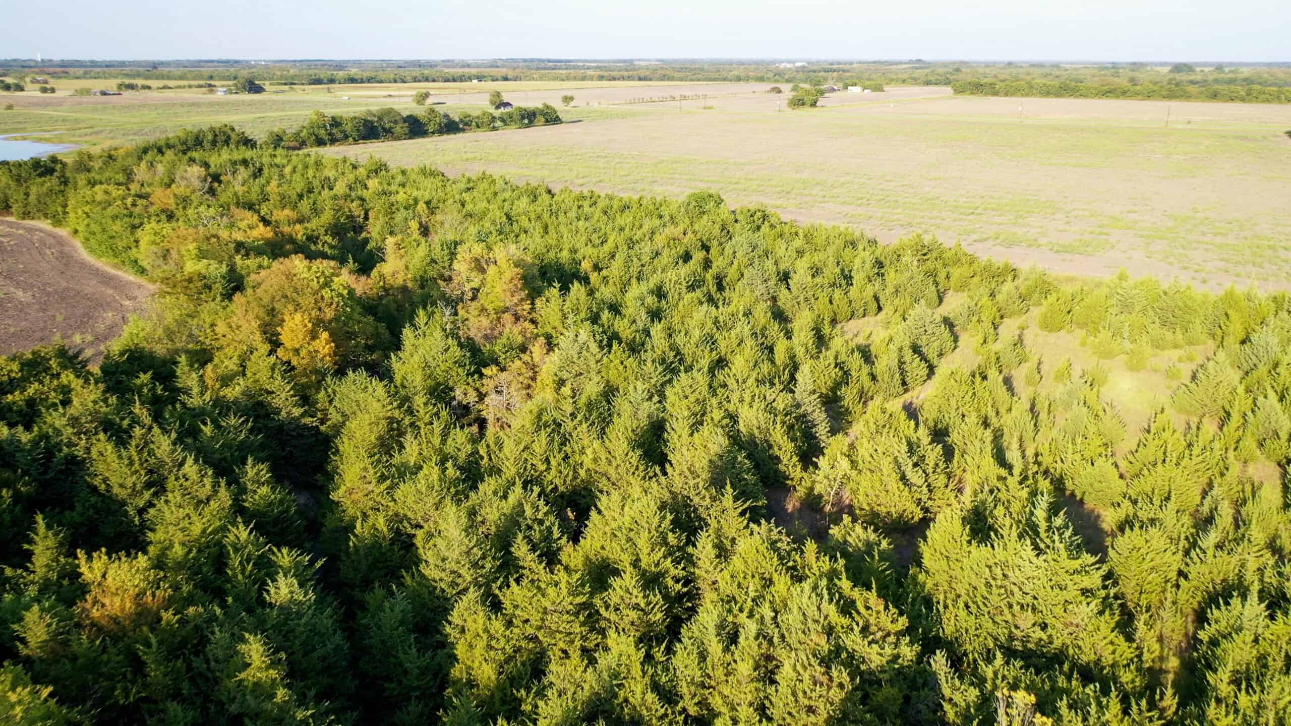 Pasture and Ranch Land For Sale in NE TX