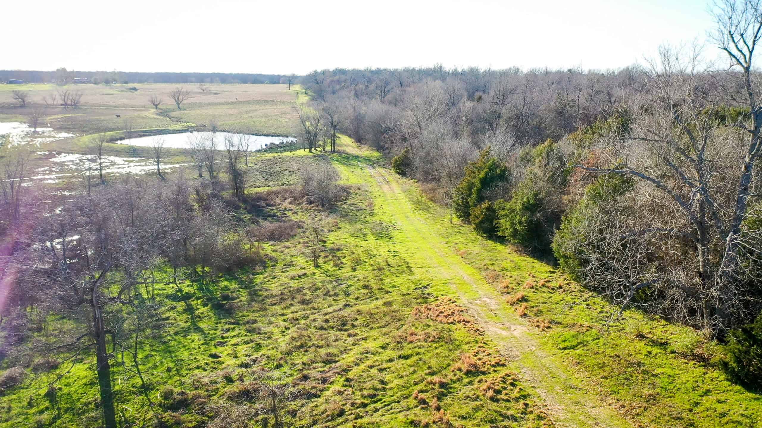 Prime Texas Hunting Land For Sale in Sumner TX